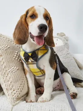 1pc Bow Decor Dog Harness With 1pc Leash