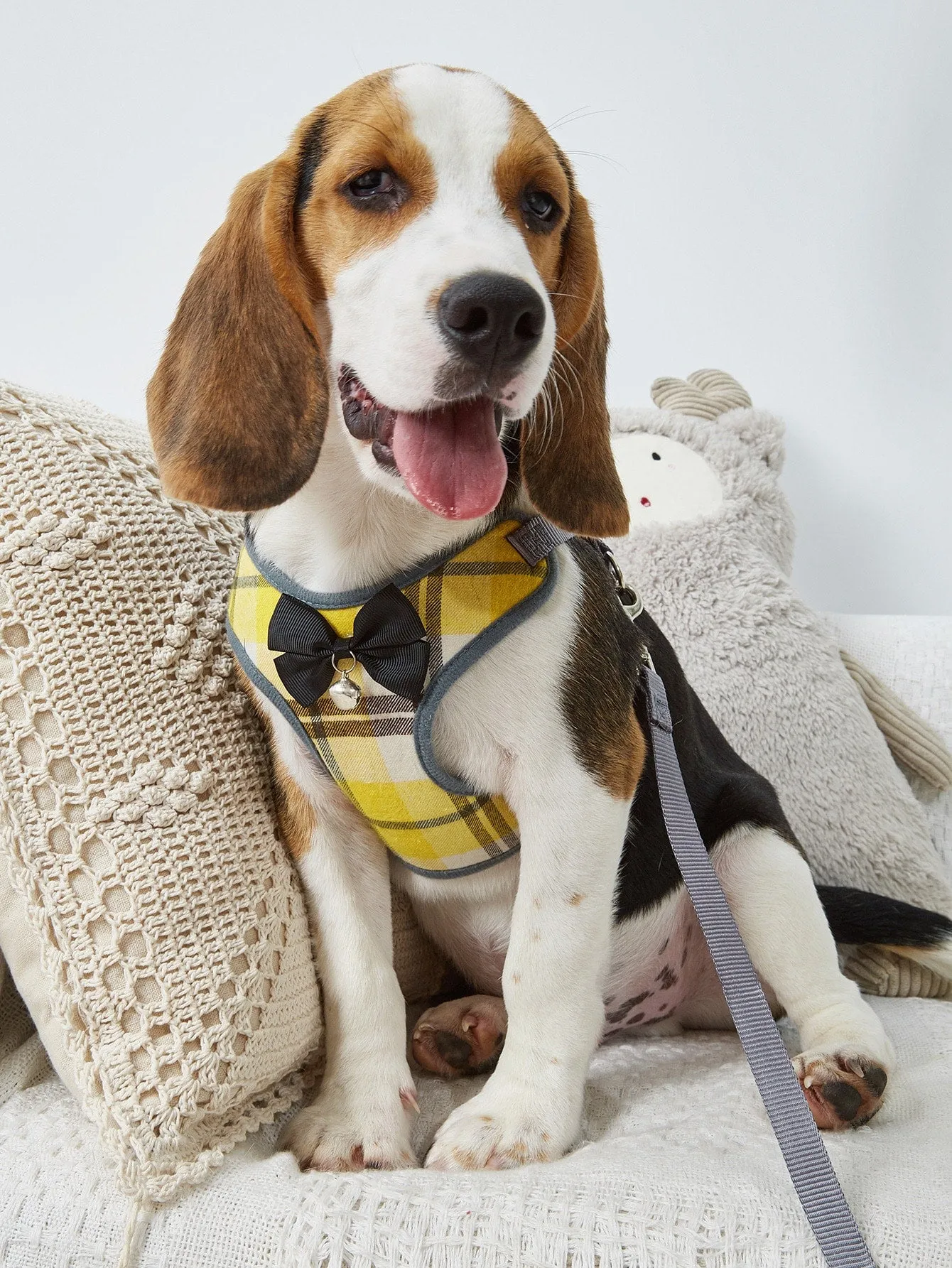 1pc Bow Decor Dog Harness With 1pc Leash