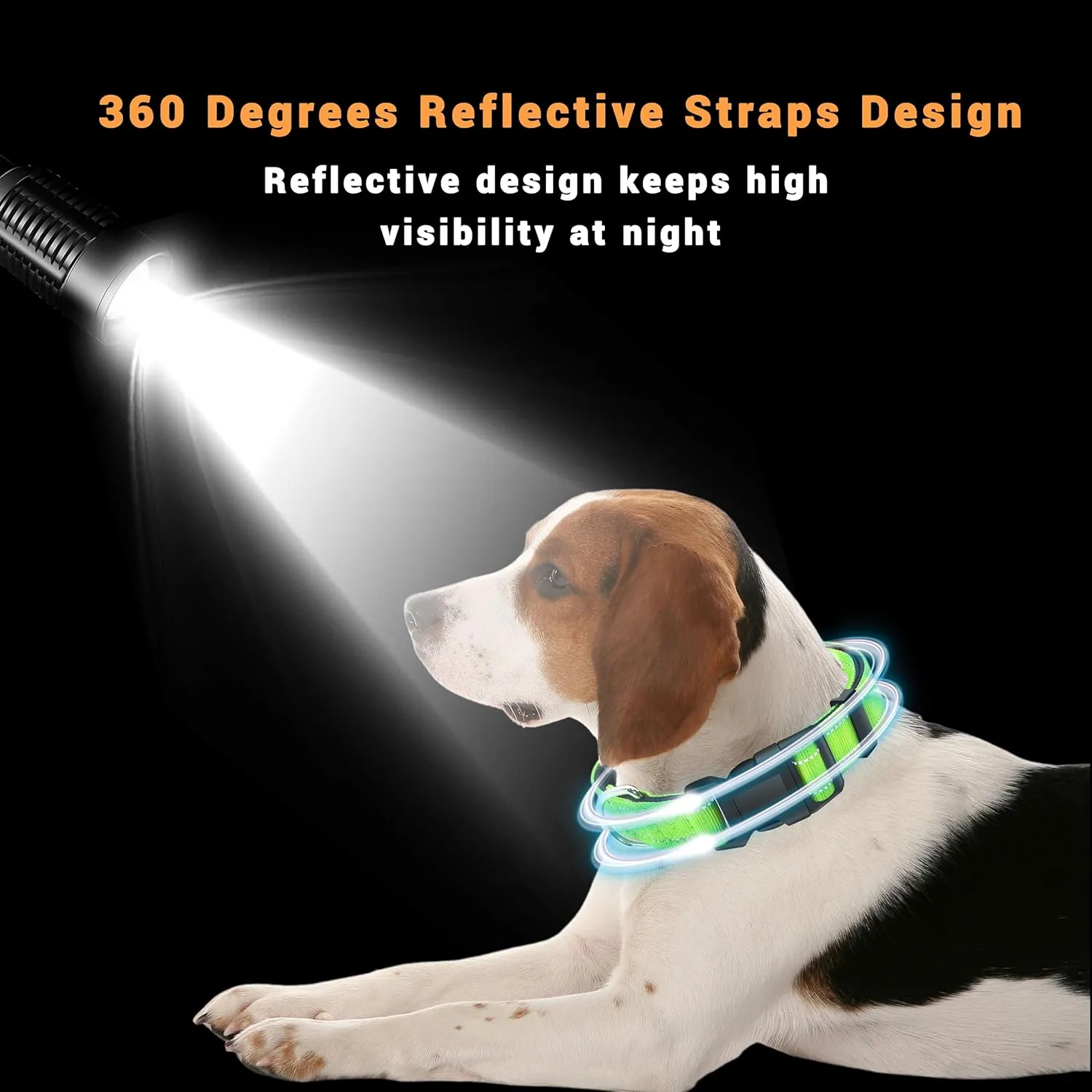 2 Pack Reflective Dog Collar with Safety Locking Buckle, Adjustable Soft Breathable Comfortable Nylon Pet Collar for Small, Medium and Large Dogs, Green, S