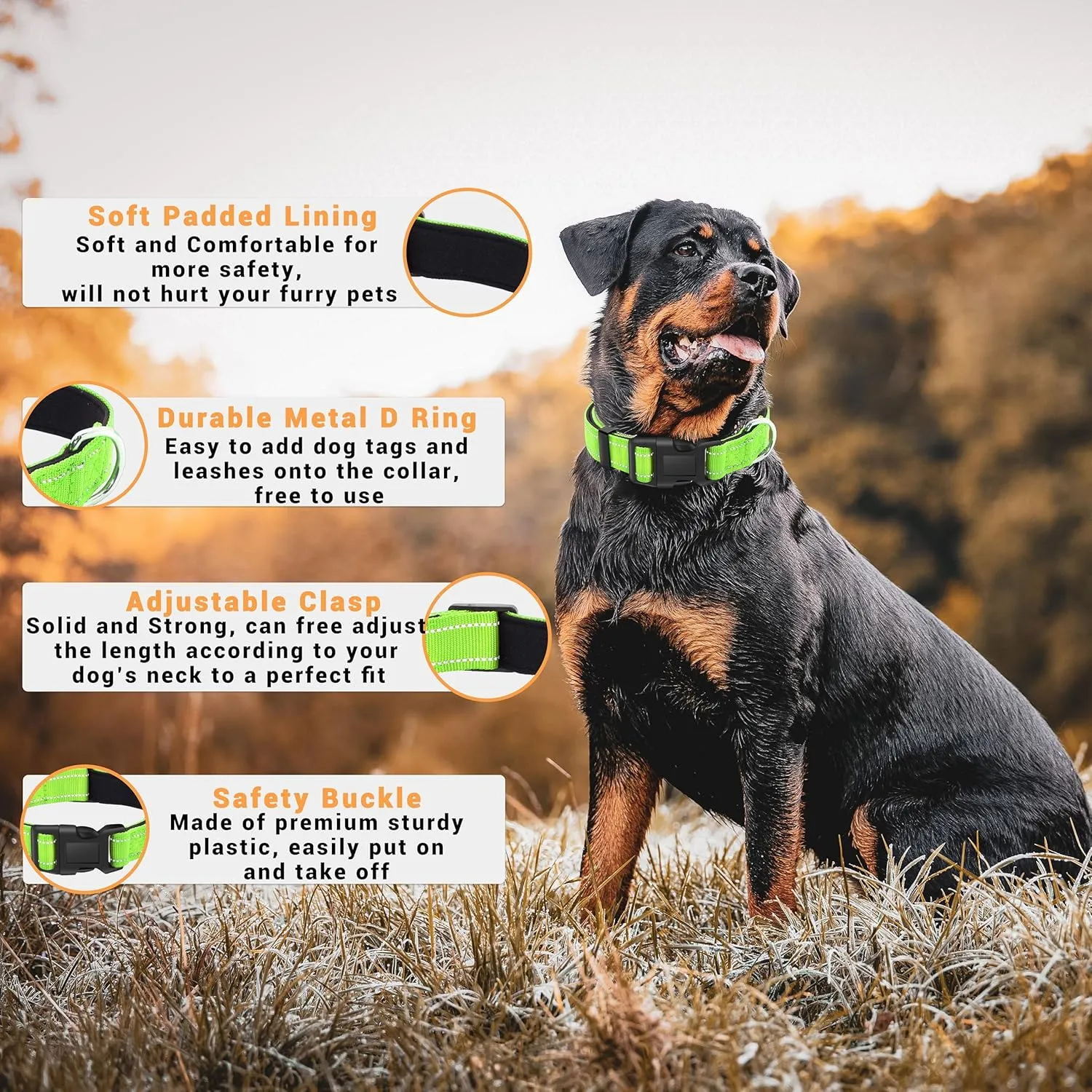2 Pack Reflective Dog Collar with Safety Locking Buckle, Adjustable Soft Breathable Comfortable Nylon Pet Collar for Small, Medium and Large Dogs, Green, S