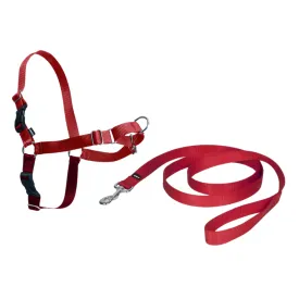Adjustable Design Strap Pet Leash