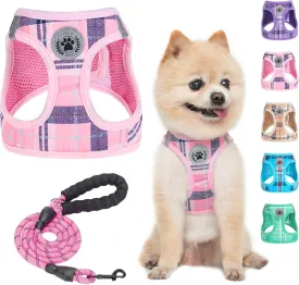 BEAUTYZOO Small Dog Harness and Leash Set,Step in No Choke No Pull Soft Mesh Dog Harnesses Reflective for Extra-Small Medium Puppy Dogs and Cats, Plaid Dog Vest Harness for XS S Pets, Pink XS