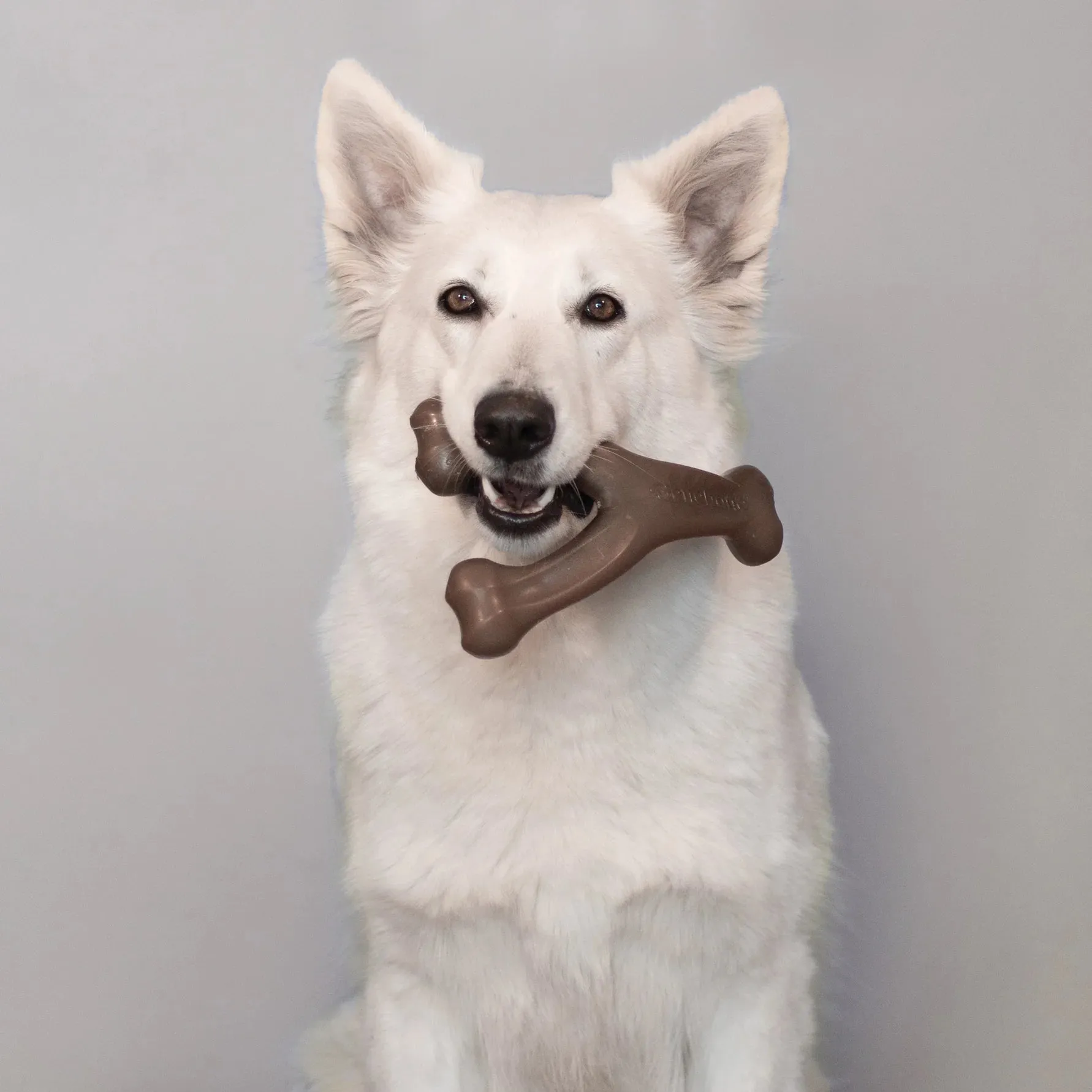 Benebone Wishbone