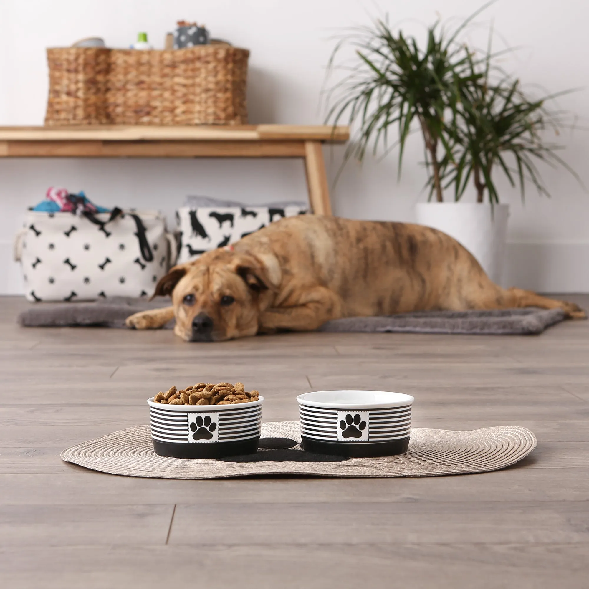 Black Striped Paw Patch Pet Bowl Set of 2, Small - 3/4 C Capacity