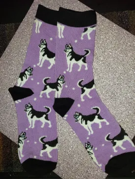 Blue eyed Siberian Husky Dog Socks