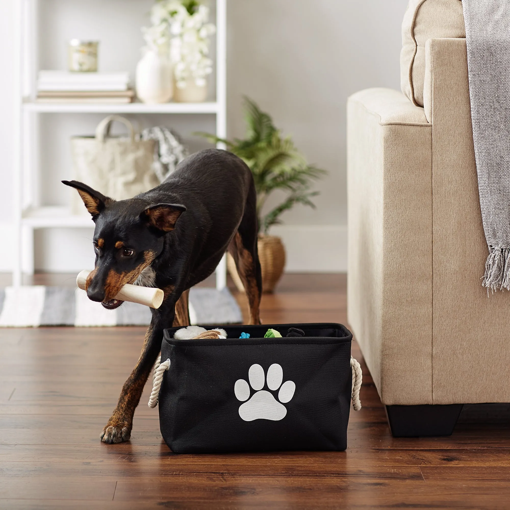 Bone Dry Collapsible Pet Storage Bin, Paw Print, Black, Small - 14x8x9"