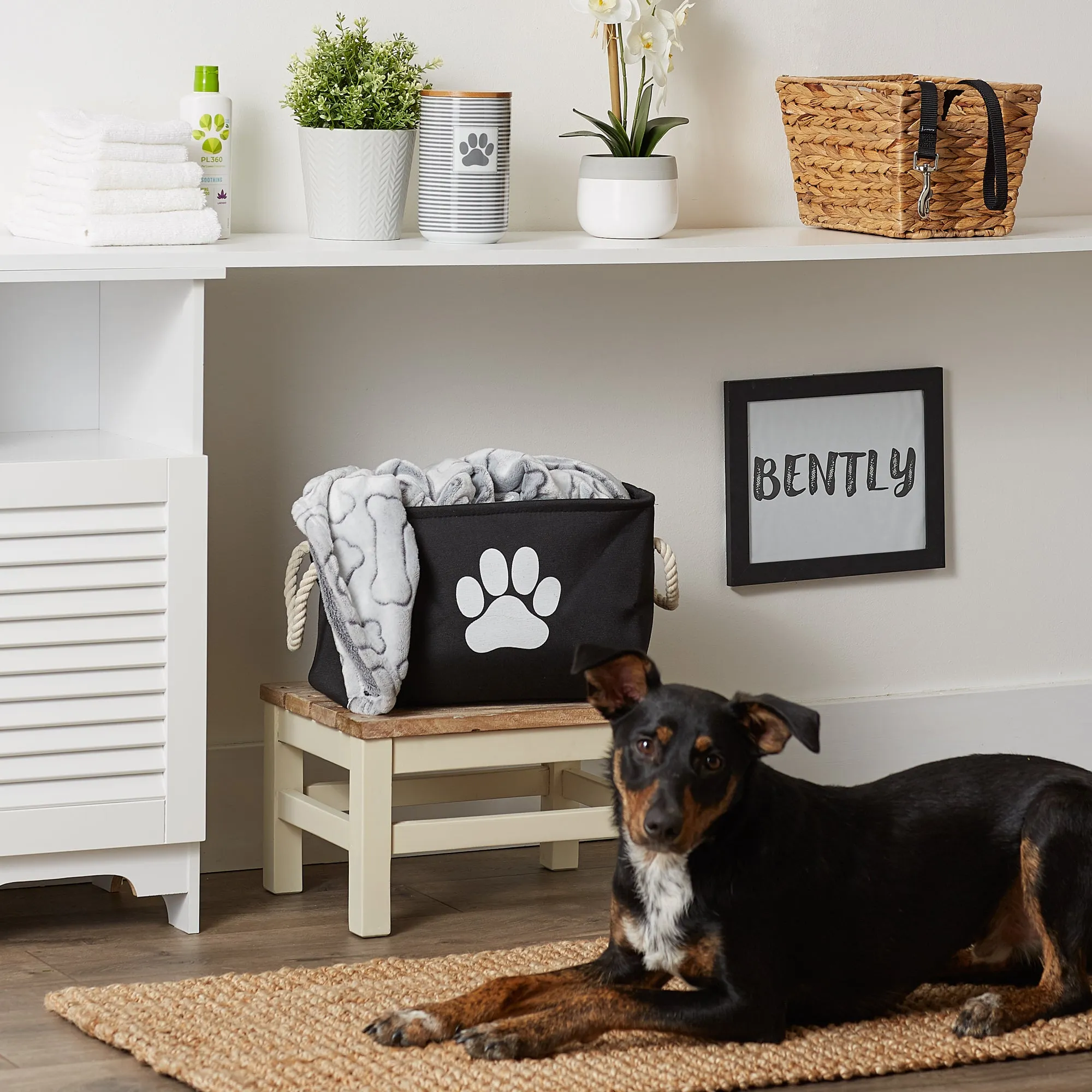 Bone Dry Collapsible Pet Storage Bin, Paw Print, Black, Small - 14x8x9"