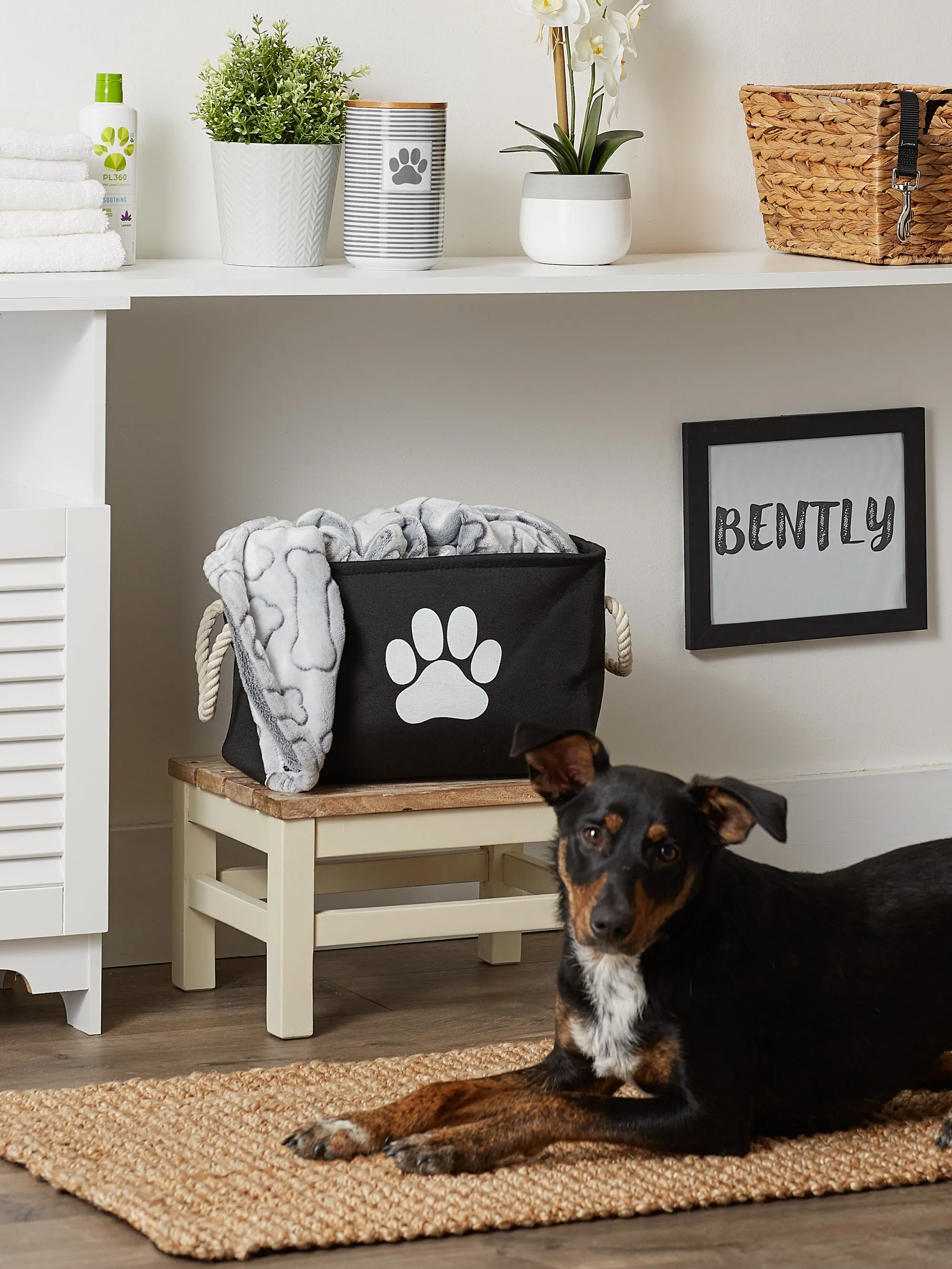 Bone Dry Collapsible Pet Storage Bin, Paw Print, Black, Small - 14x8x9"