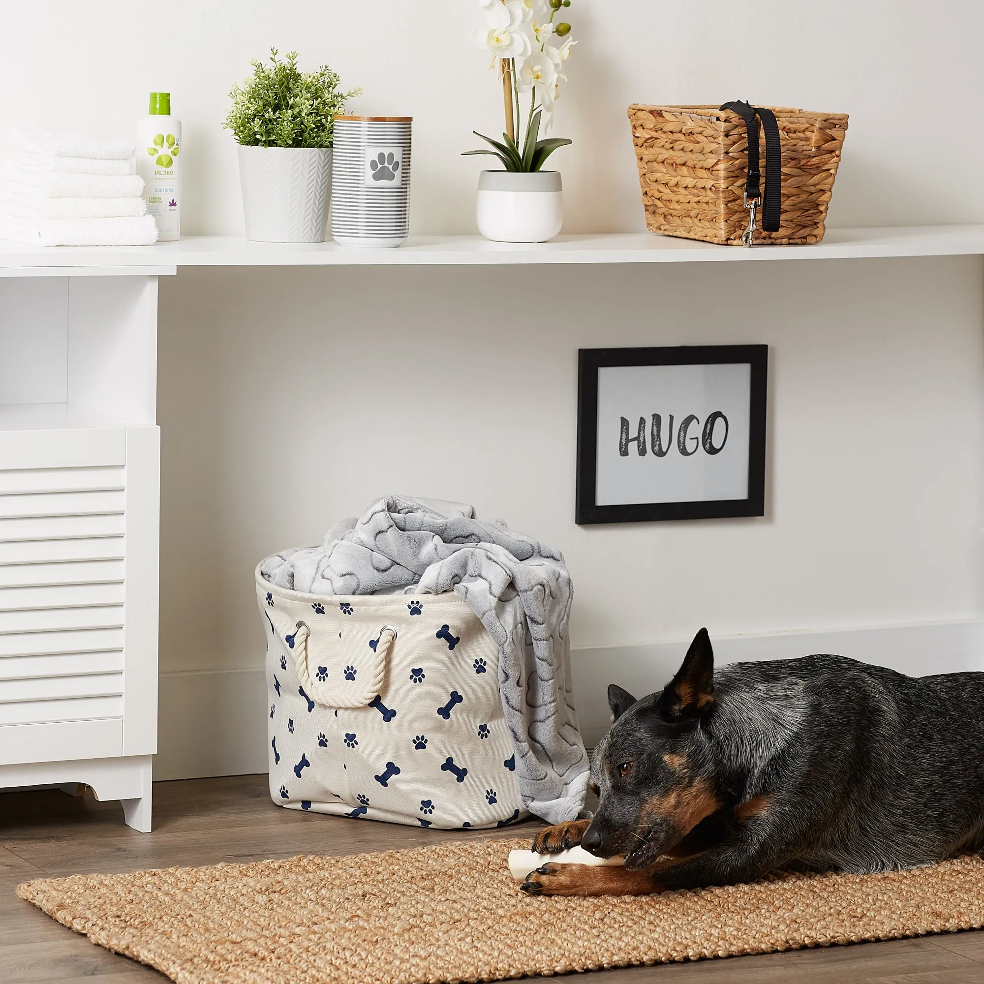Bone Dry Collapsible Pet Storage Bin, Paw/Bone Print, Nautical Blue, Medium Round -12x15x15"