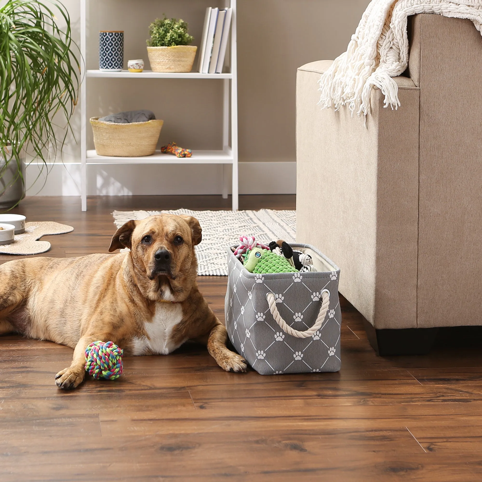 Bone Dry Collapsible Pet Storage Bin, Trellis Paw Print, Gray, Small - 14x8x9"