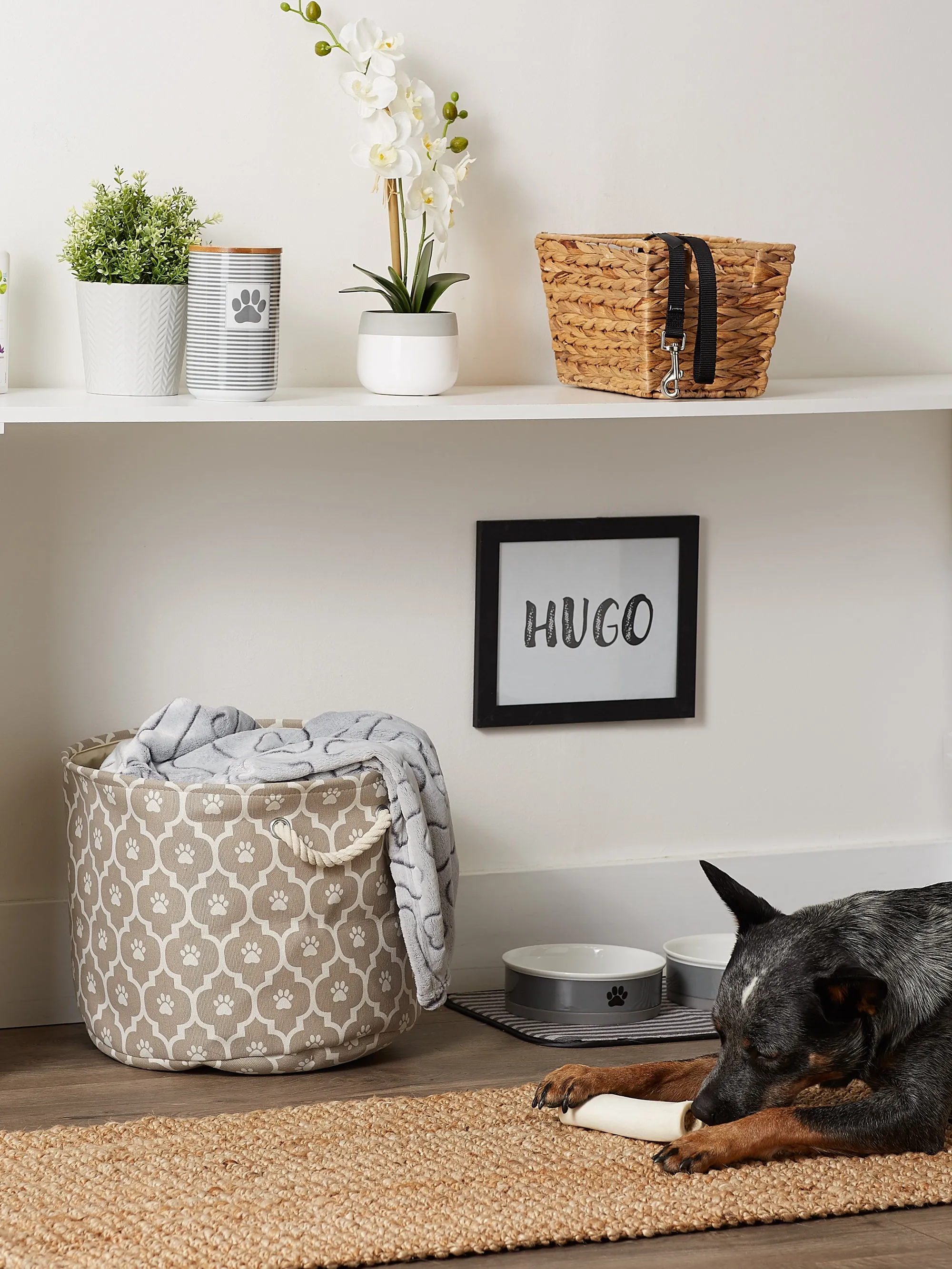 Bone Dry Pet Storage Bin, Lattice Paw Print, Stone, Medium Round - 15x12"