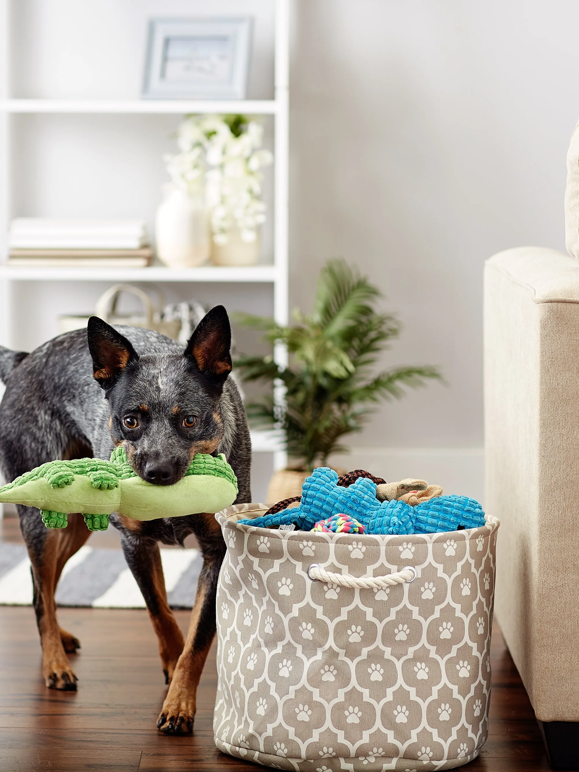 Bone Dry Pet Storage Bin, Lattice Paw Print, Stone, Medium Round - 15x12"