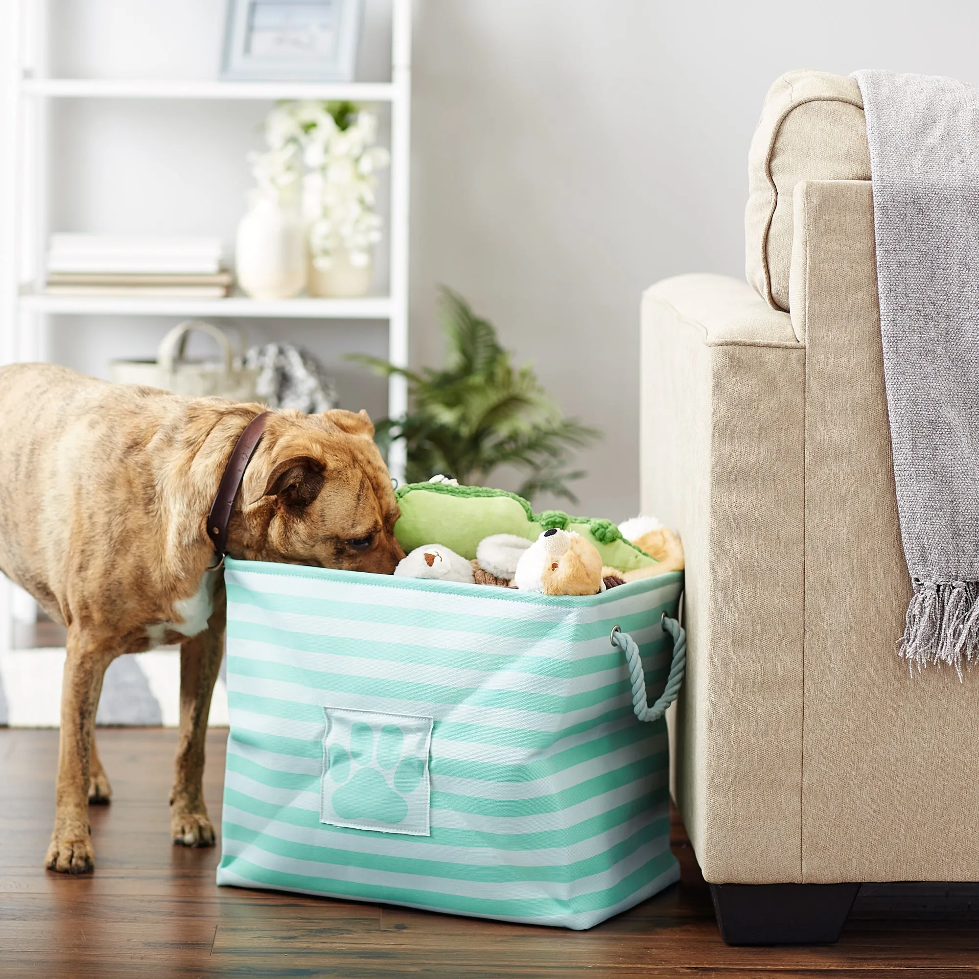 Bone Dry Pet Storage Bin, Striped Paw Patch, Aqua, Large - 17.5x12x15"