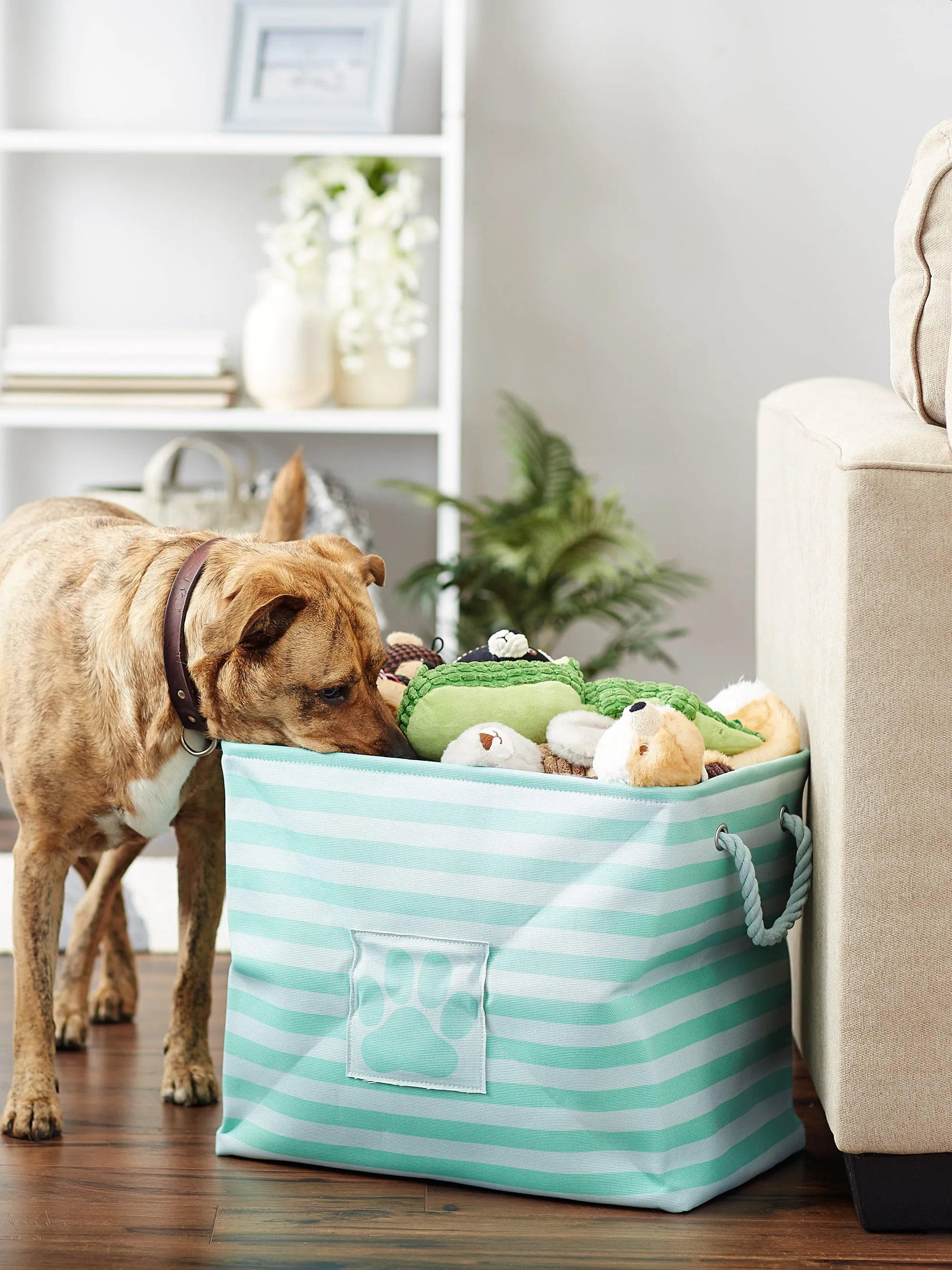 Bone Dry Pet Storage Bin, Striped Paw Patch, Aqua, Large - 17.5x12x15"