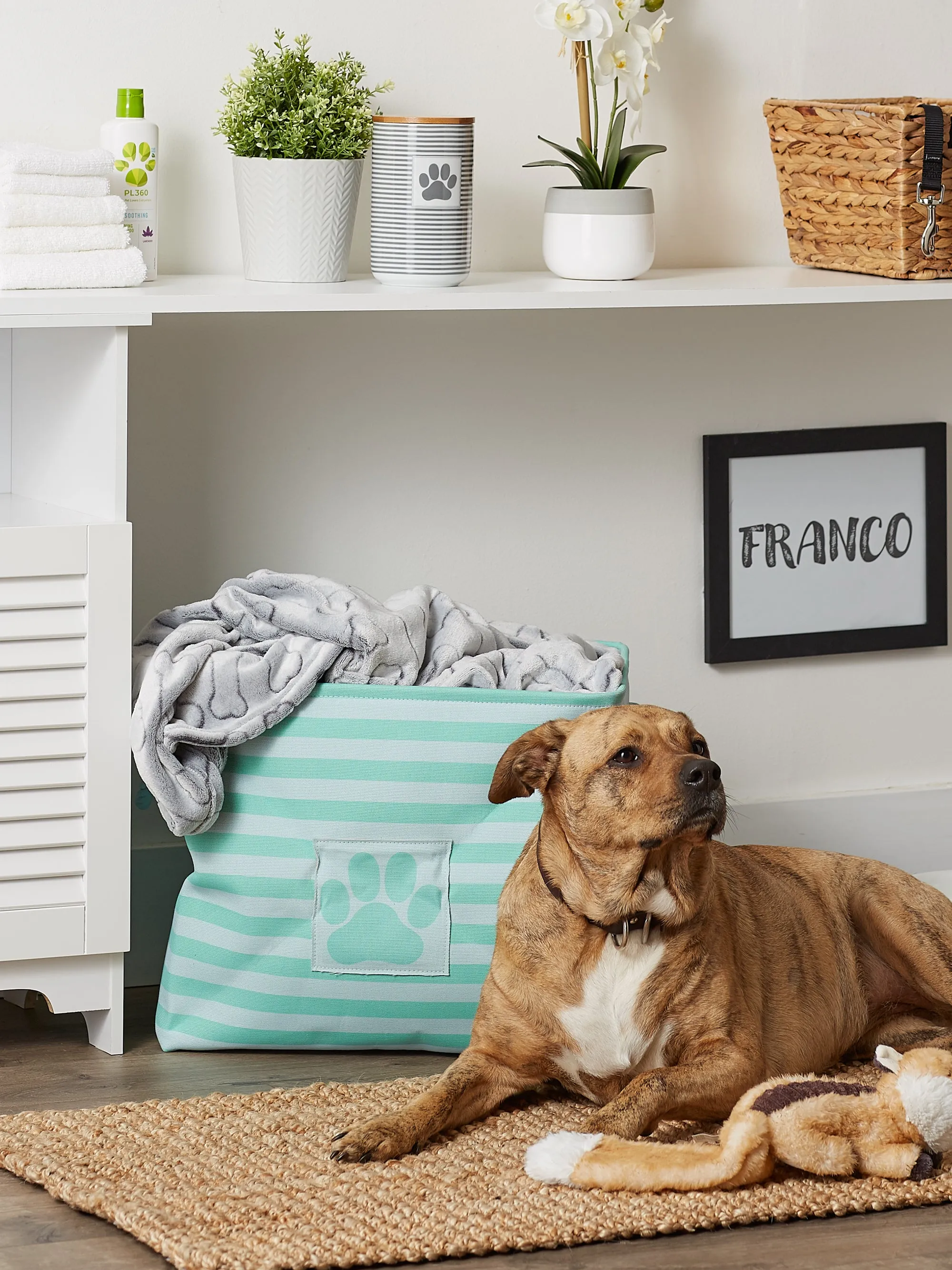 Bone Dry Pet Storage Bin, Striped Paw Patch, Aqua, Large - 17.5x12x15"