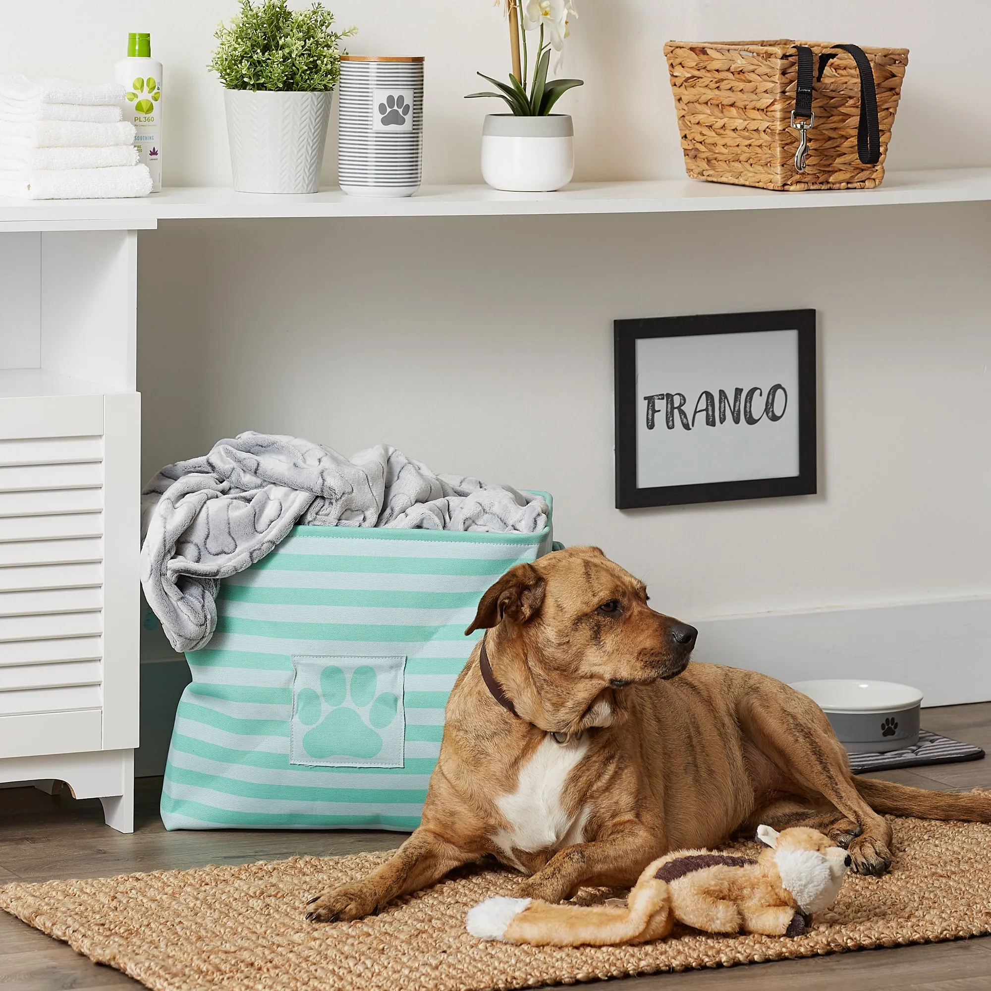 Bone Dry Pet Storage Bin, Striped Paw Patch, Aqua, Large - 17.5x12x15"