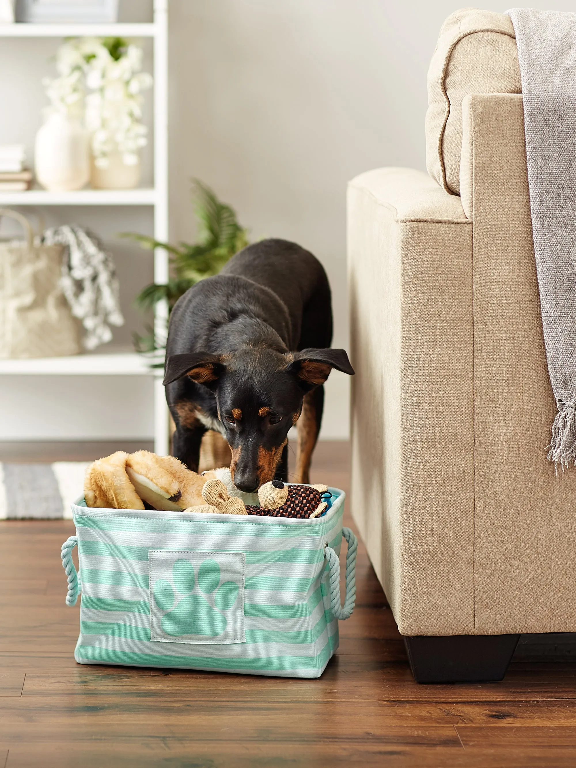 Bone Dry Pet Storage Bin, Striped Paw Patch, Aqua, Small - 14x8x9"