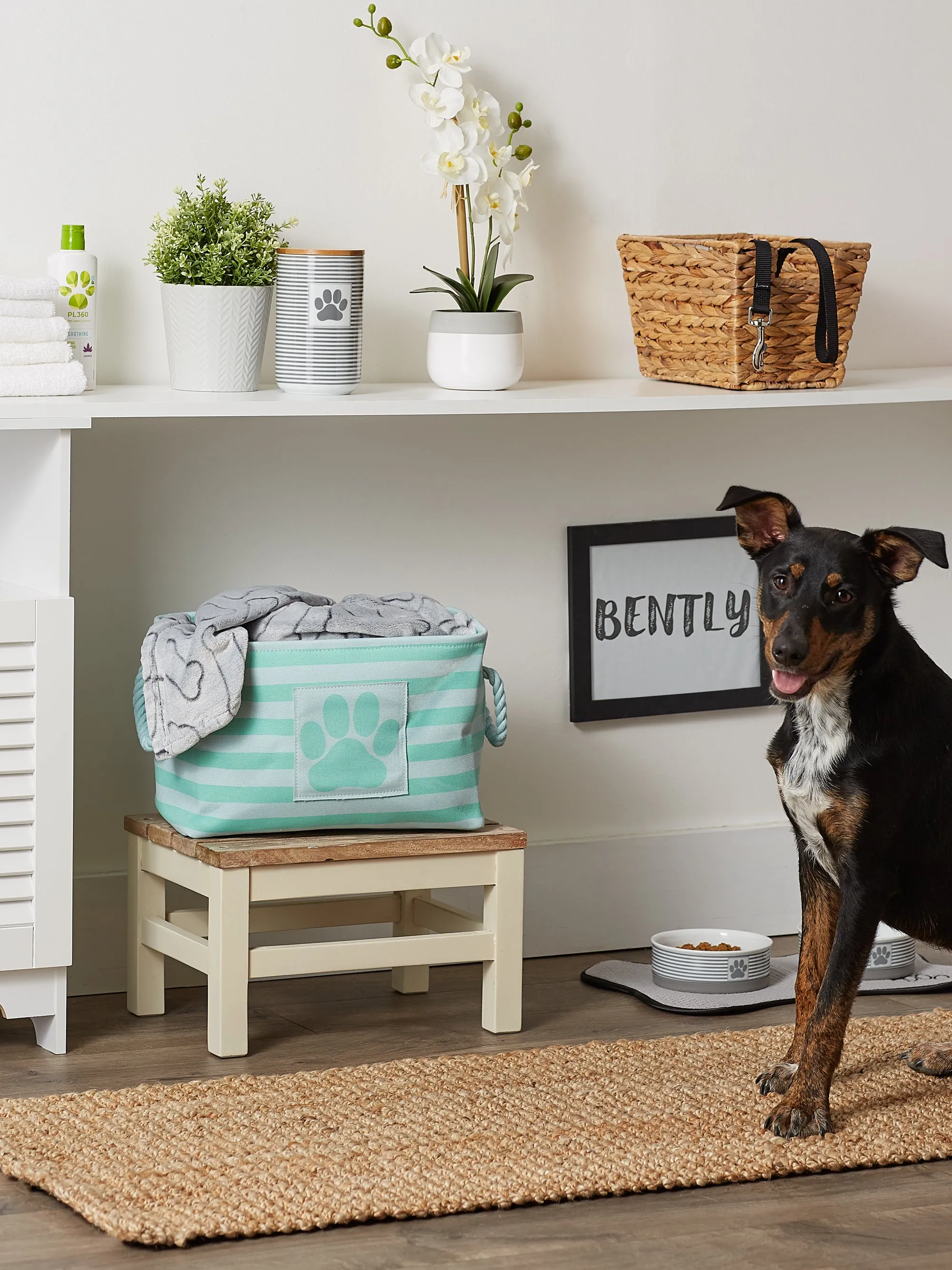 Bone Dry Pet Storage Bin, Striped Paw Patch, Aqua, Small - 14x8x9"