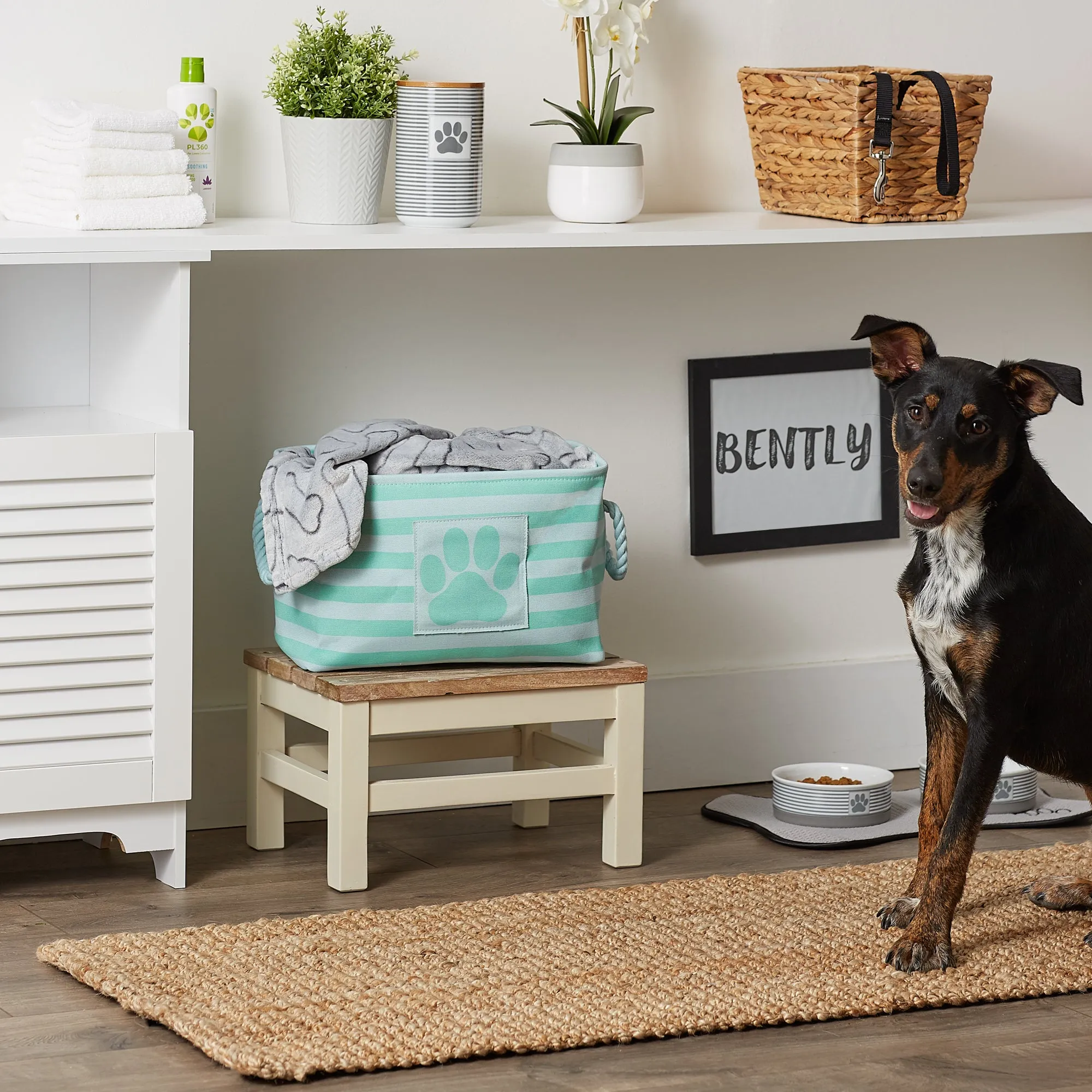 Bone Dry Pet Storage Bin, Striped Paw Patch, Aqua, Small - 14x8x9"
