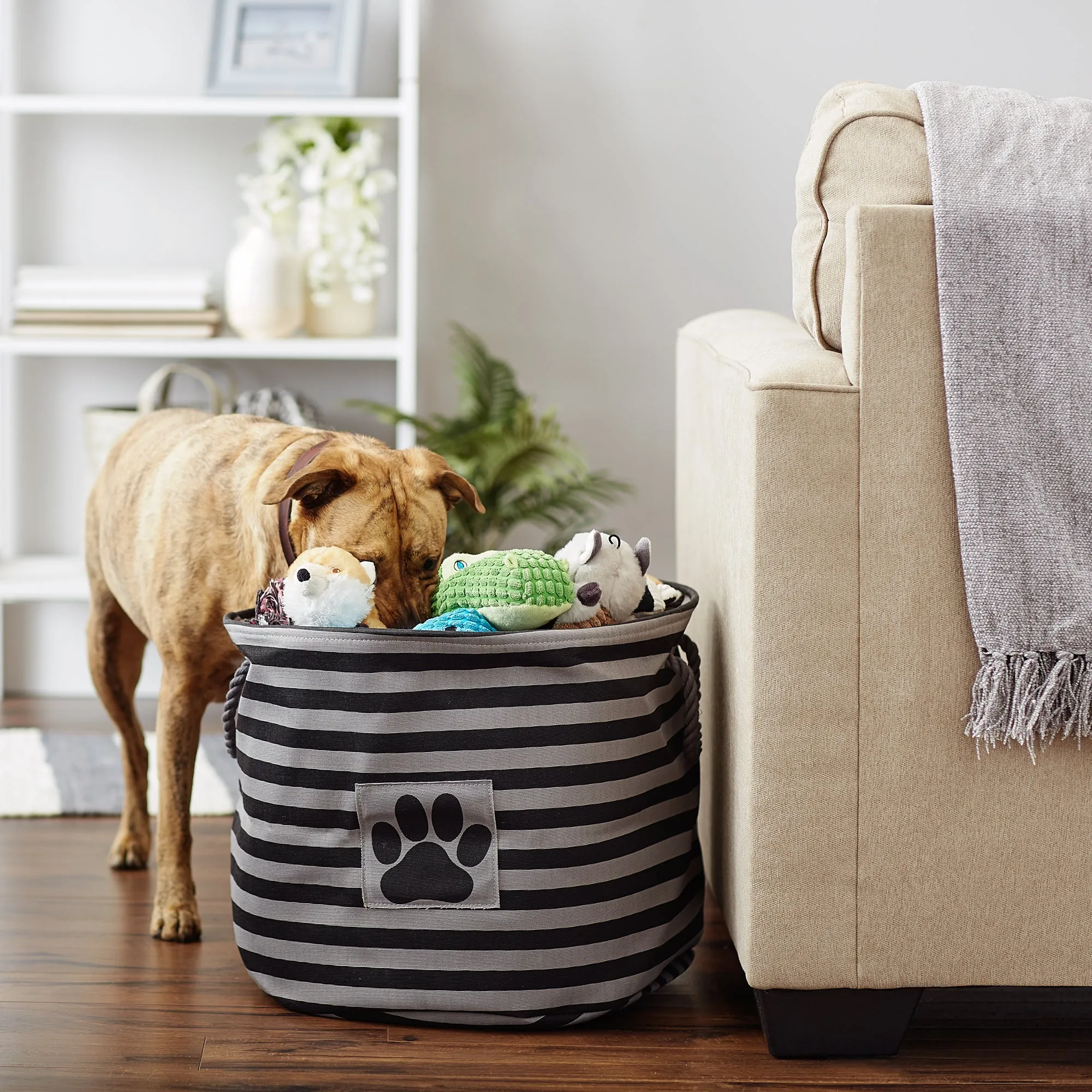 Bone Dry Pet Storage Bin, Striped Paw Patch, Black, Large Round, 18x15"