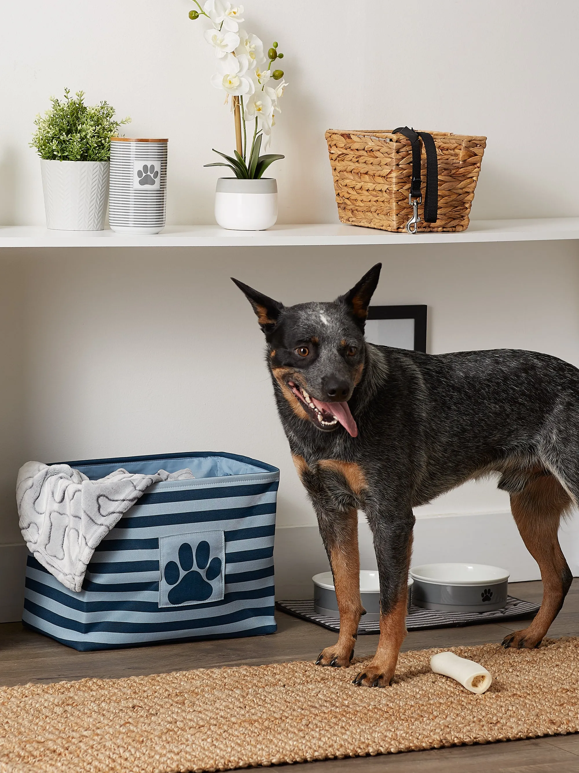 Bone Dry Pet Storage Bin, Striped Paw Patch, Dark Navy, Medium - 16x10x12"
