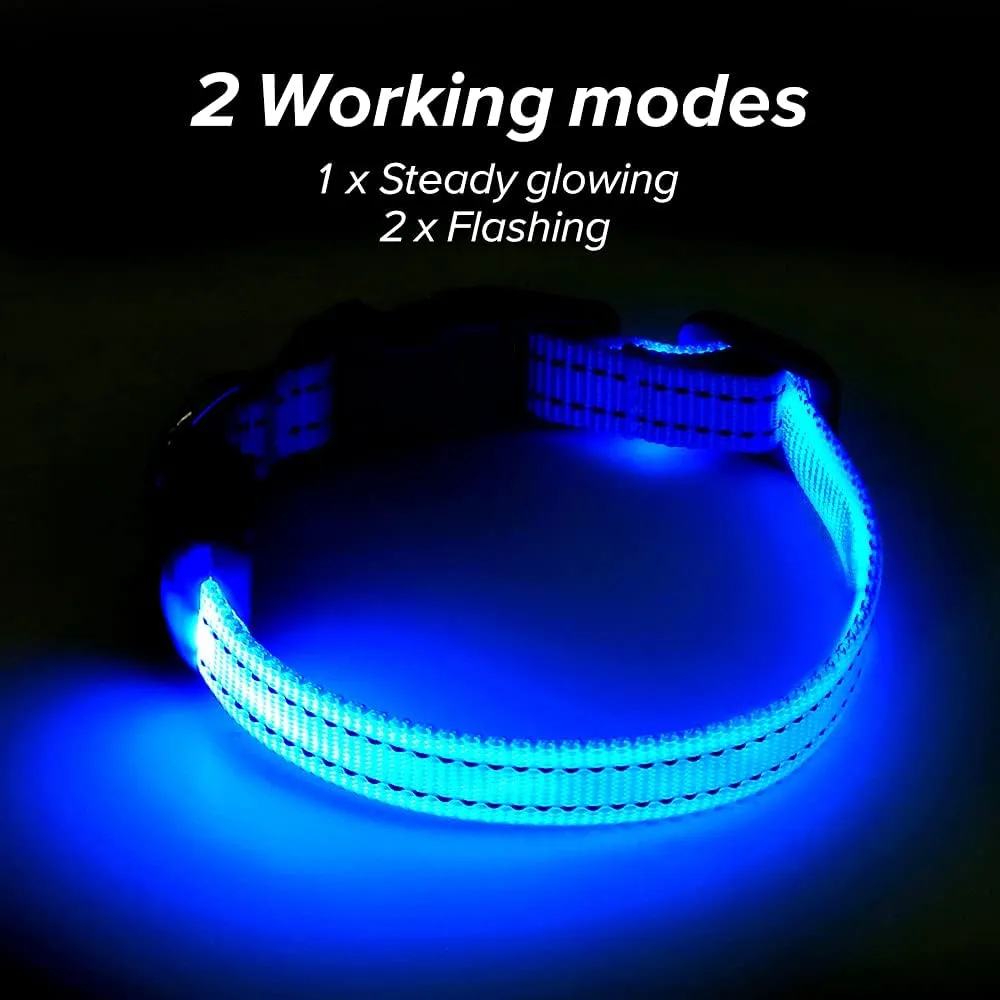 BSEEN Light Up Dog Collar, Rechargeable LED Dog Collar Reflective Glowing Pet Collar for Puppies & Cats, Safety Dog Lights for Night Walking (Blue)