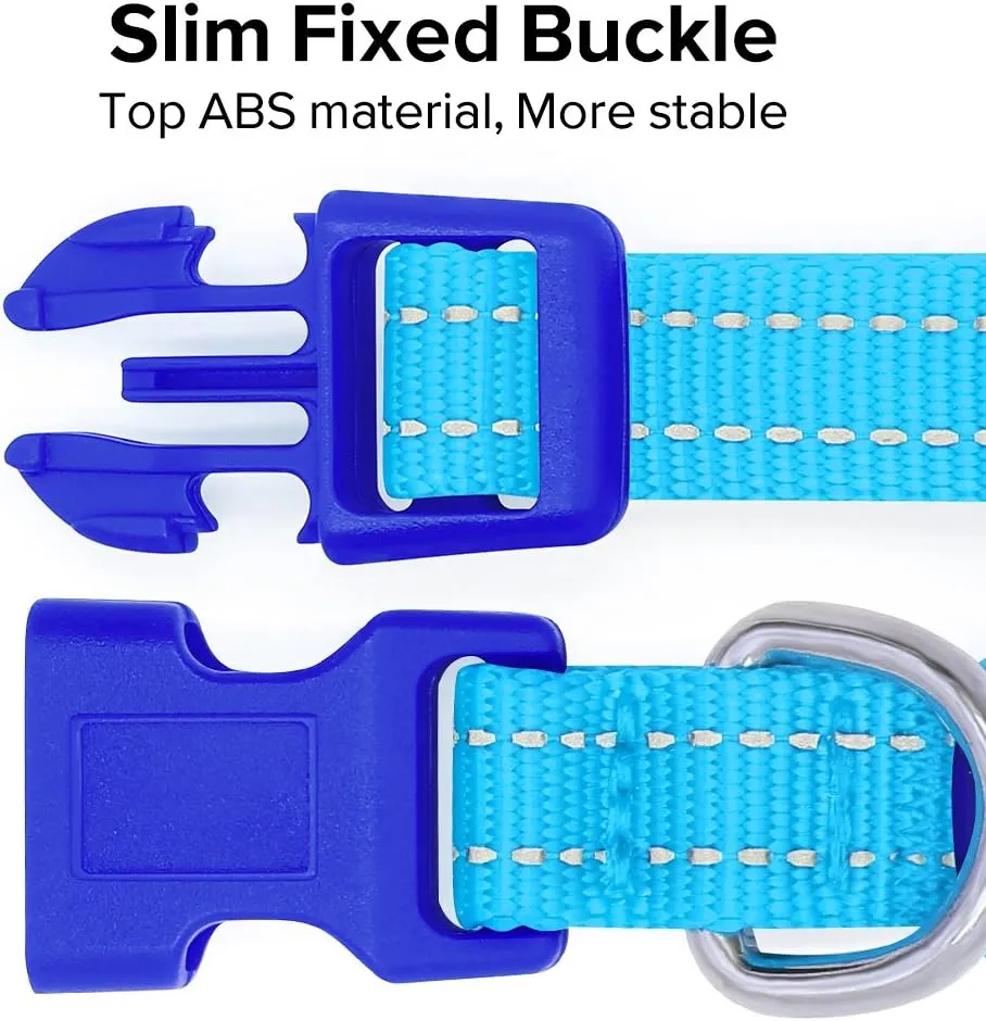 BSEEN Light Up Dog Collar, Rechargeable LED Dog Collar Reflective Glowing Pet Collar for Puppies & Cats, Safety Dog Lights for Night Walking (Blue)