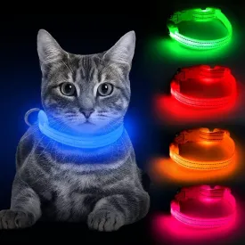 BSEEN Light Up Dog Collar, Rechargeable LED Dog Collar Reflective Glowing Pet Collar for Puppies & Cats, Safety Dog Lights for Night Walking (Blue)