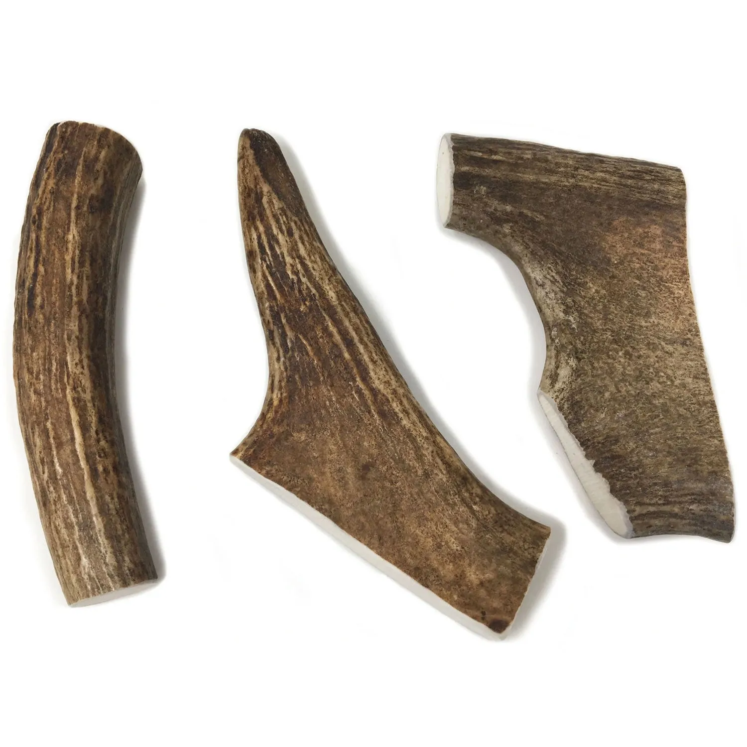 Buck Bone Organics Moose Antler