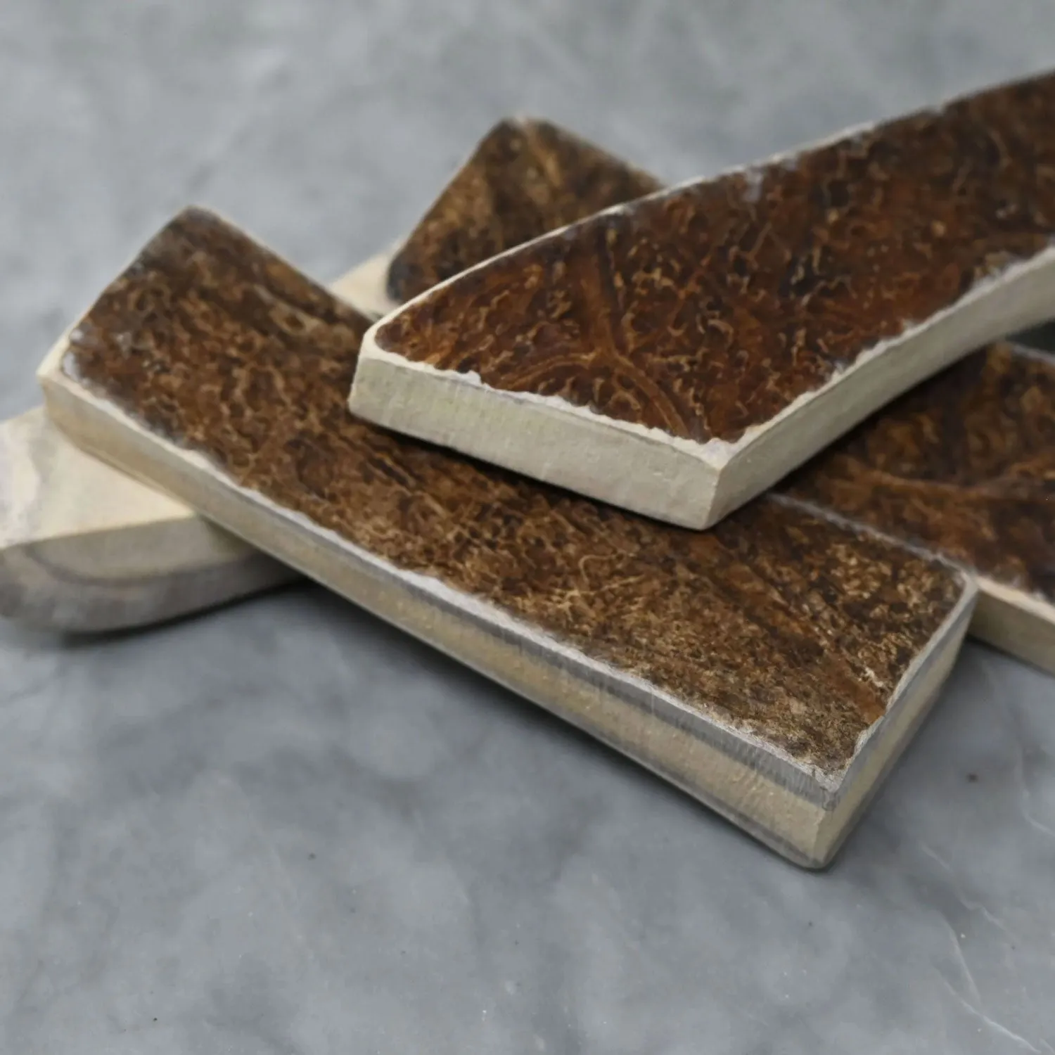 Buck Bone Organics Moose Antler