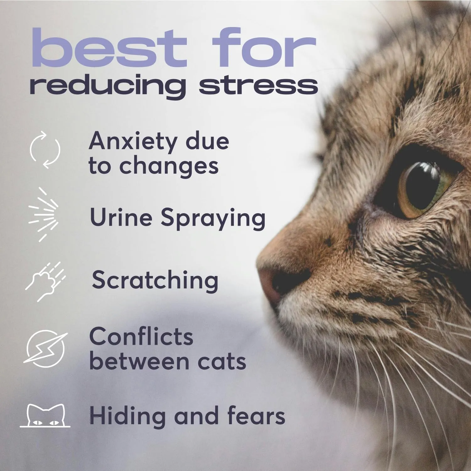 Cat Calming Diffuser Refills  Long-Lasting 30-Day Formula with Pheromones for Stress Relief, Relaxation, and Anxiety Reduction in Cats Easy to Use  (2 Diffusers   2 Refills)