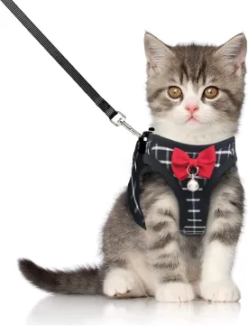 Cat Harness and Leash,Breathable Dog Harness,Pet Harness,Cats Leash and Harness Set for Puppy Cat Rabbit (Black, XS)