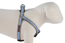 Chocolate/Periwinkle Stripe Dog Harness - 602