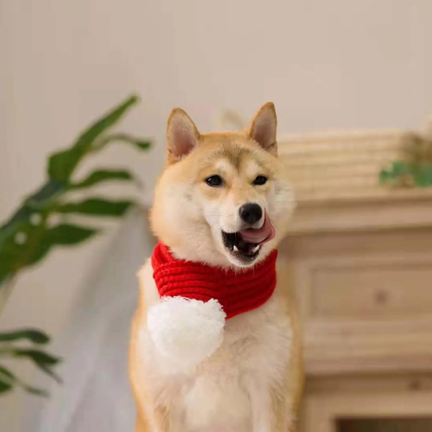 Christmas Santa Scarf for Small to Large Dog,Pet Holiday Party Costume Dog Accessories (L, Red)