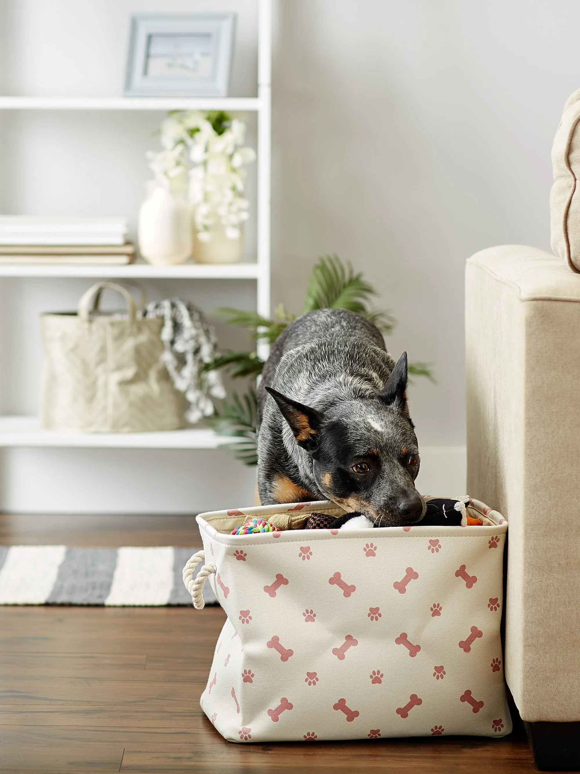 Collapsible Pet Storage Bin, Paw/Bone Print, Rose, Medium - 16x10x12"