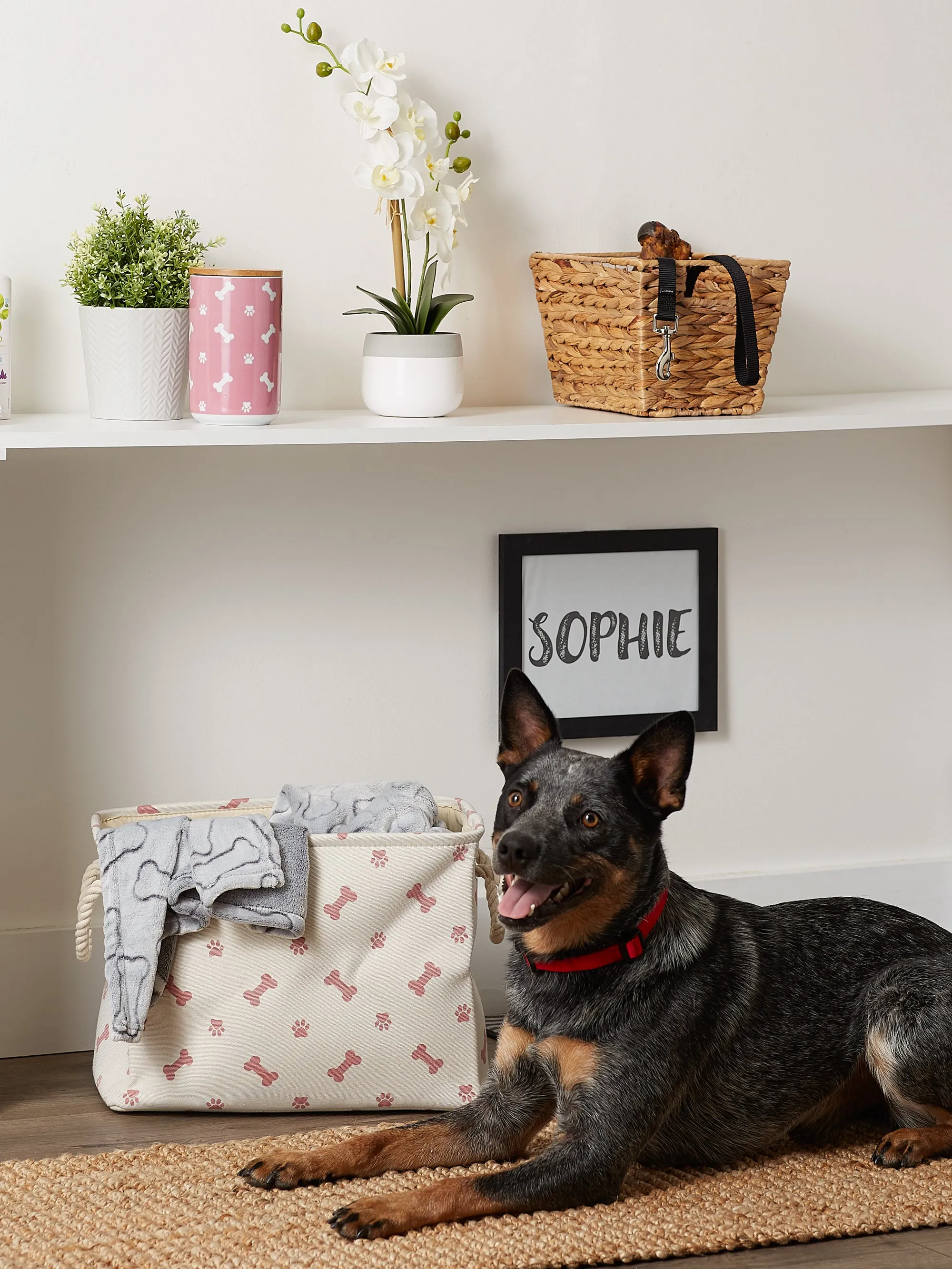 Collapsible Pet Storage Bin, Paw/Bone Print, Rose, Medium - 16x10x12"