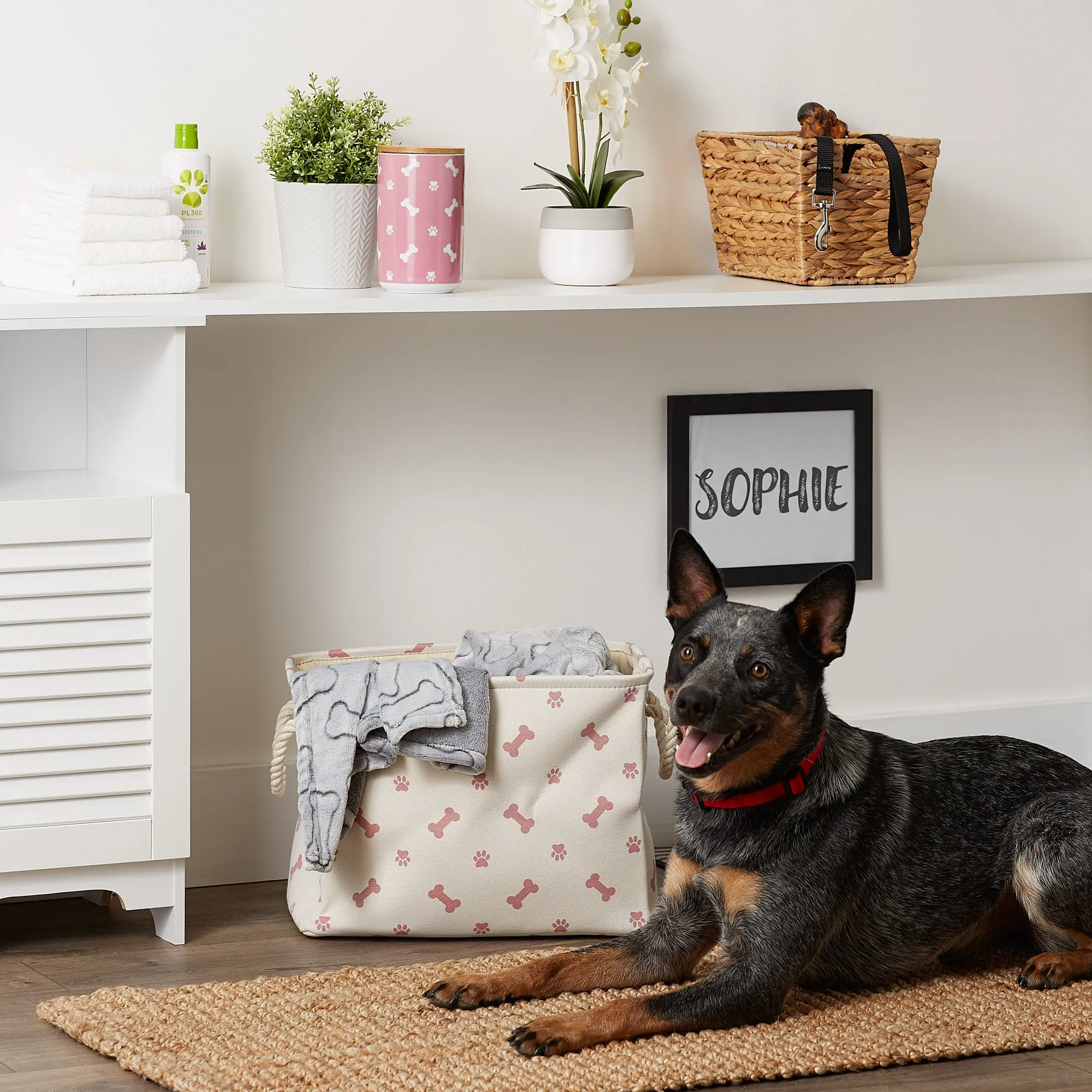 Collapsible Pet Storage Bin, Paw/Bone Print, Rose, Medium - 16x10x12"