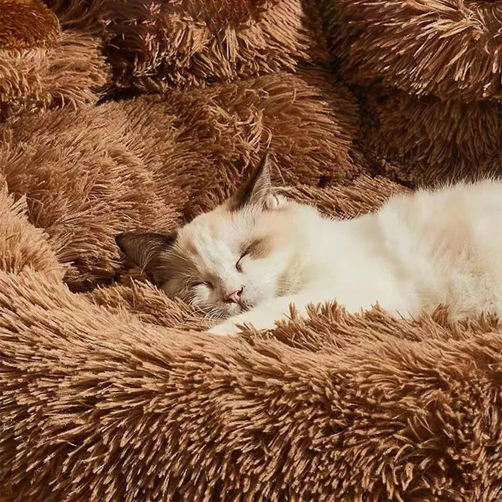 Cozy Pet Sofa Beds