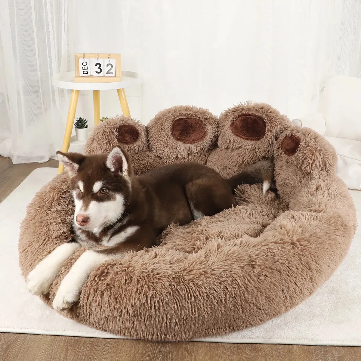 Cozy Pet Sofa Beds