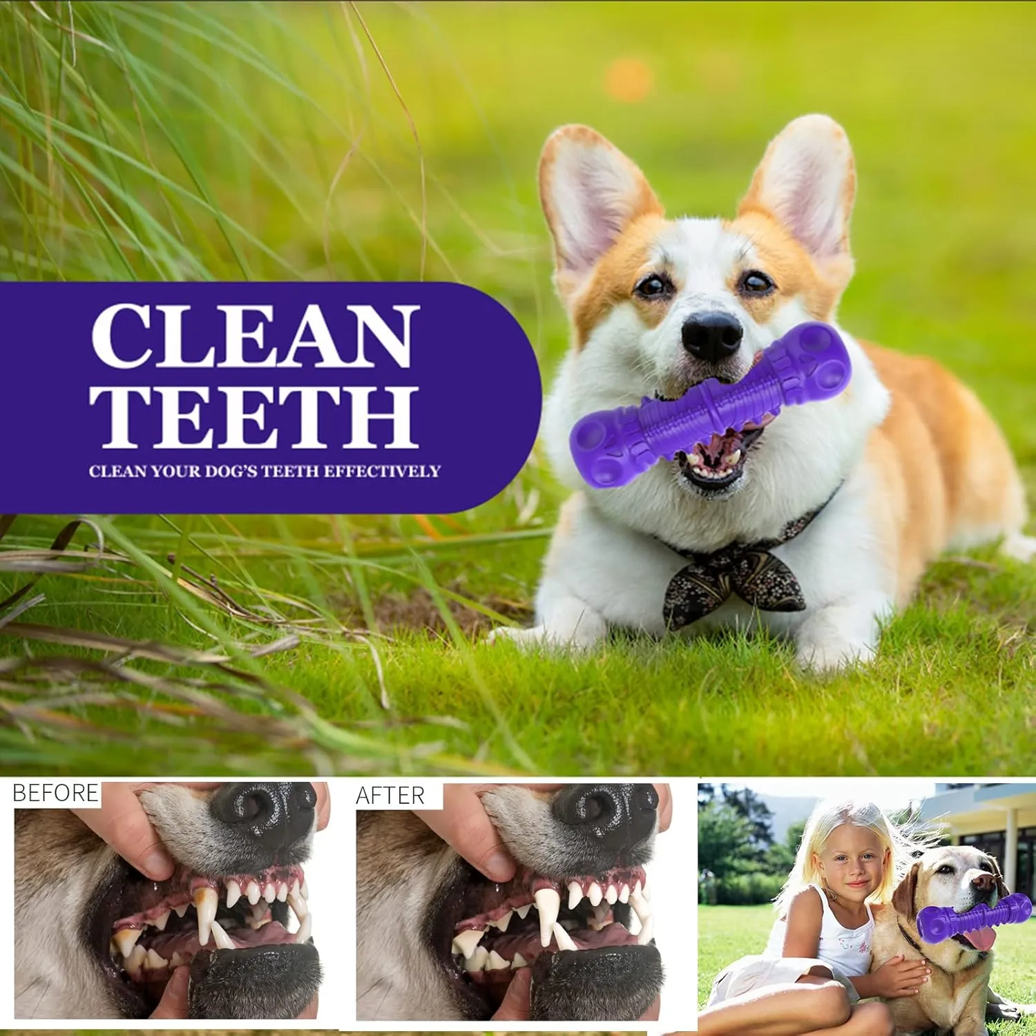 Dog Squeaky Toys for Aggressive Chewers, Durable Chew Toys for Large Medium Breed Dog, Tough Durable Dogs Toys with Natural Rubber