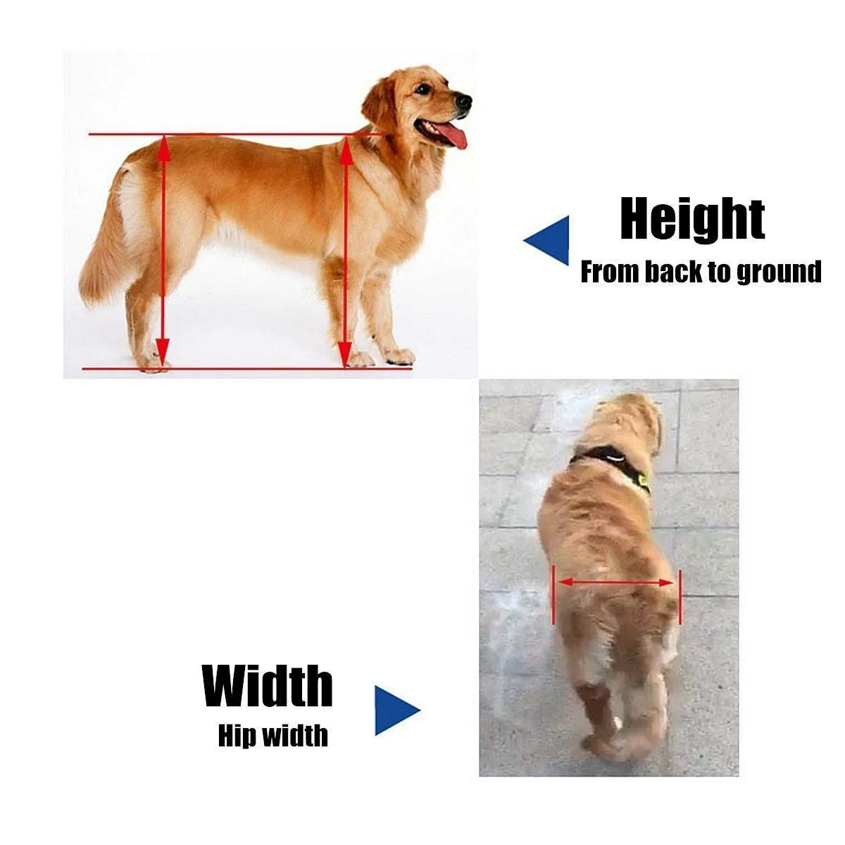 Dog Wheelchair