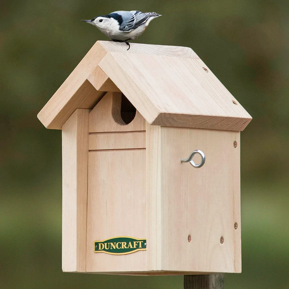 Duncraft Common Bird Pine Nesting House