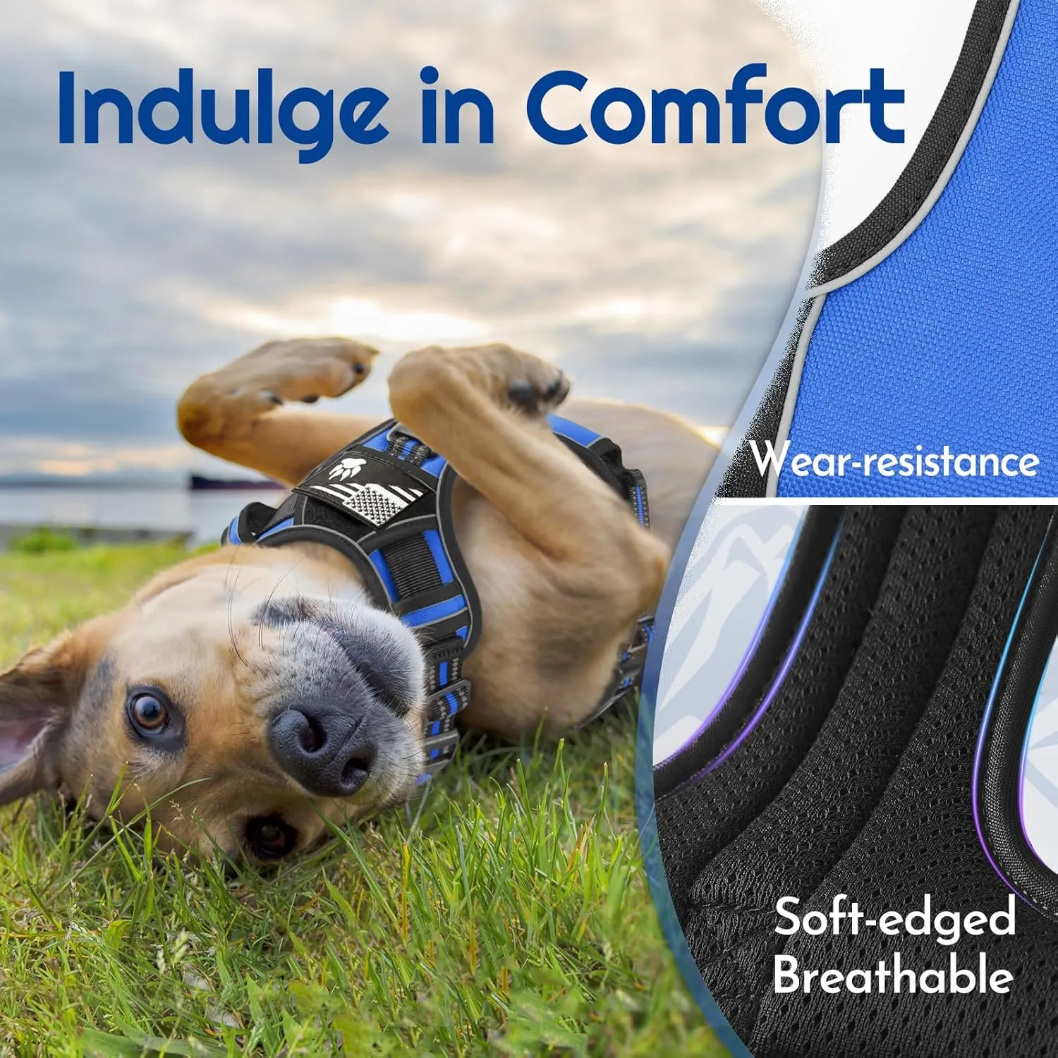 Eagloo Dog Harness Medium Sized, Easy Wearing with 3 Buckles, Adjustable No Pull Pet Harness with 2 Rings for Walking, No Chock Reflective Soft Padded Vest with Control Handle, Blue & Black, M