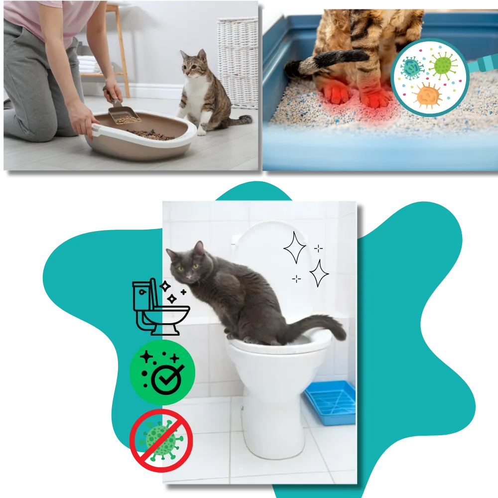 Easy Training Cat Litter Toilet Trainer
