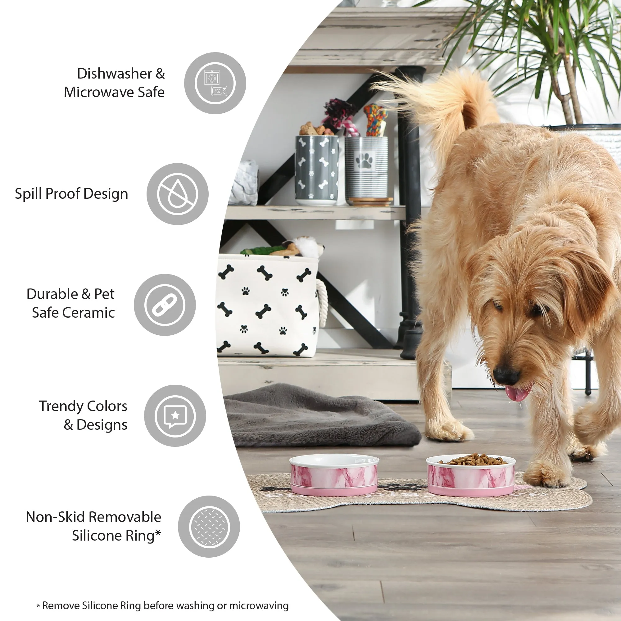 Eat/Drink Pet Bowl Set of 2, Medium - 1.5 C. Capacity