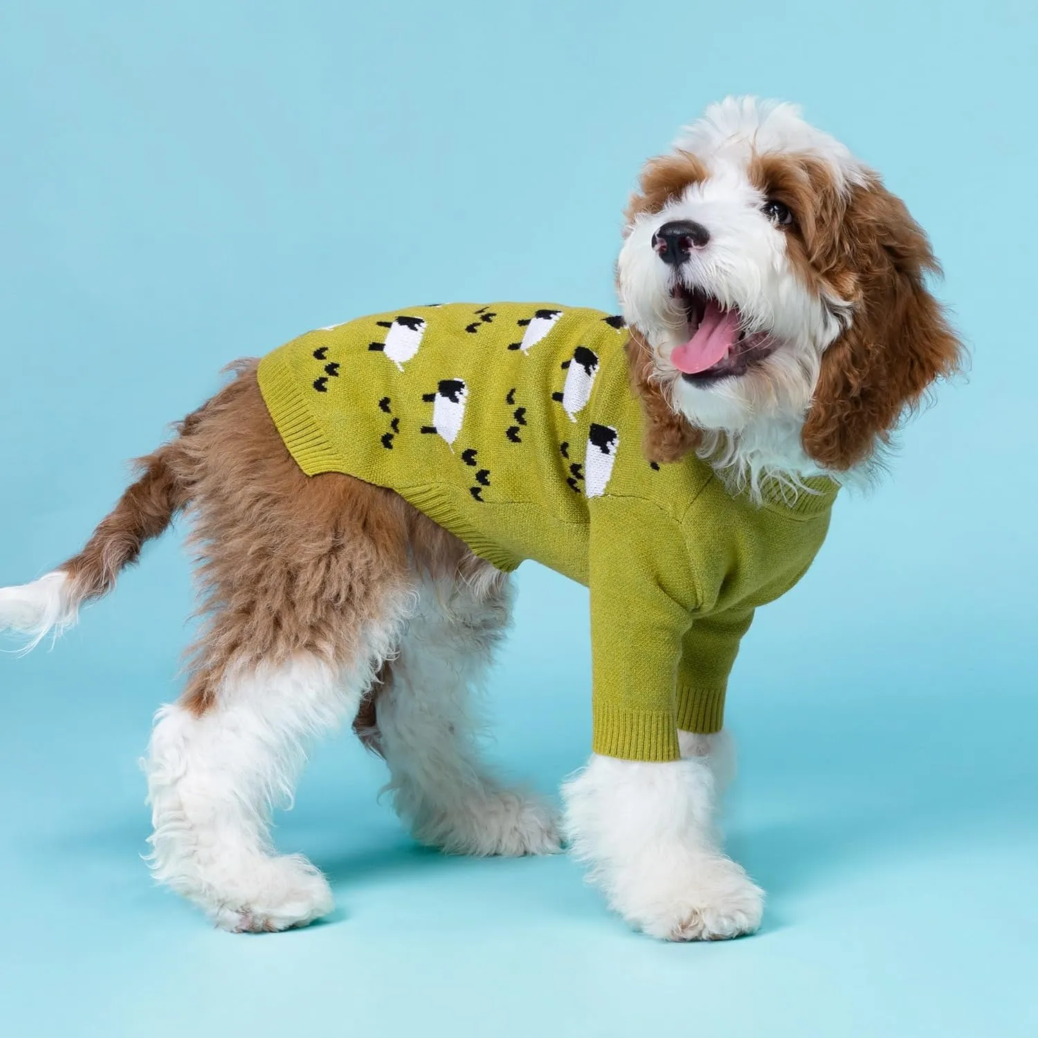 Fitwarm Funny Sheep Dog Sweater, Thermal Winter Clothes for Small Dogs - Boy & Girl - Holiday Clothes - Pullover Jumper - Pet Outfit - Black, Green, White - Medium