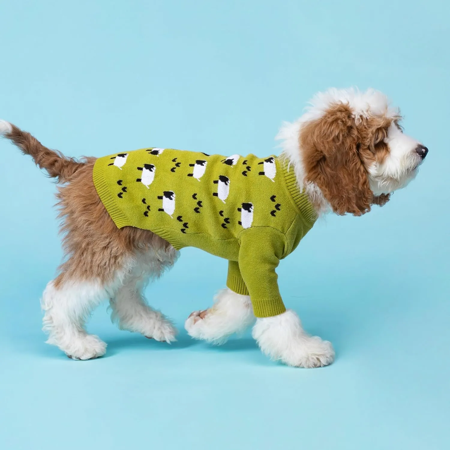 Fitwarm Funny Sheep Dog Sweater, Thermal Winter Clothes for Small Dogs - Boy & Girl - Holiday Clothes - Pullover Jumper - Pet Outfit - Black, Green, White - Medium
