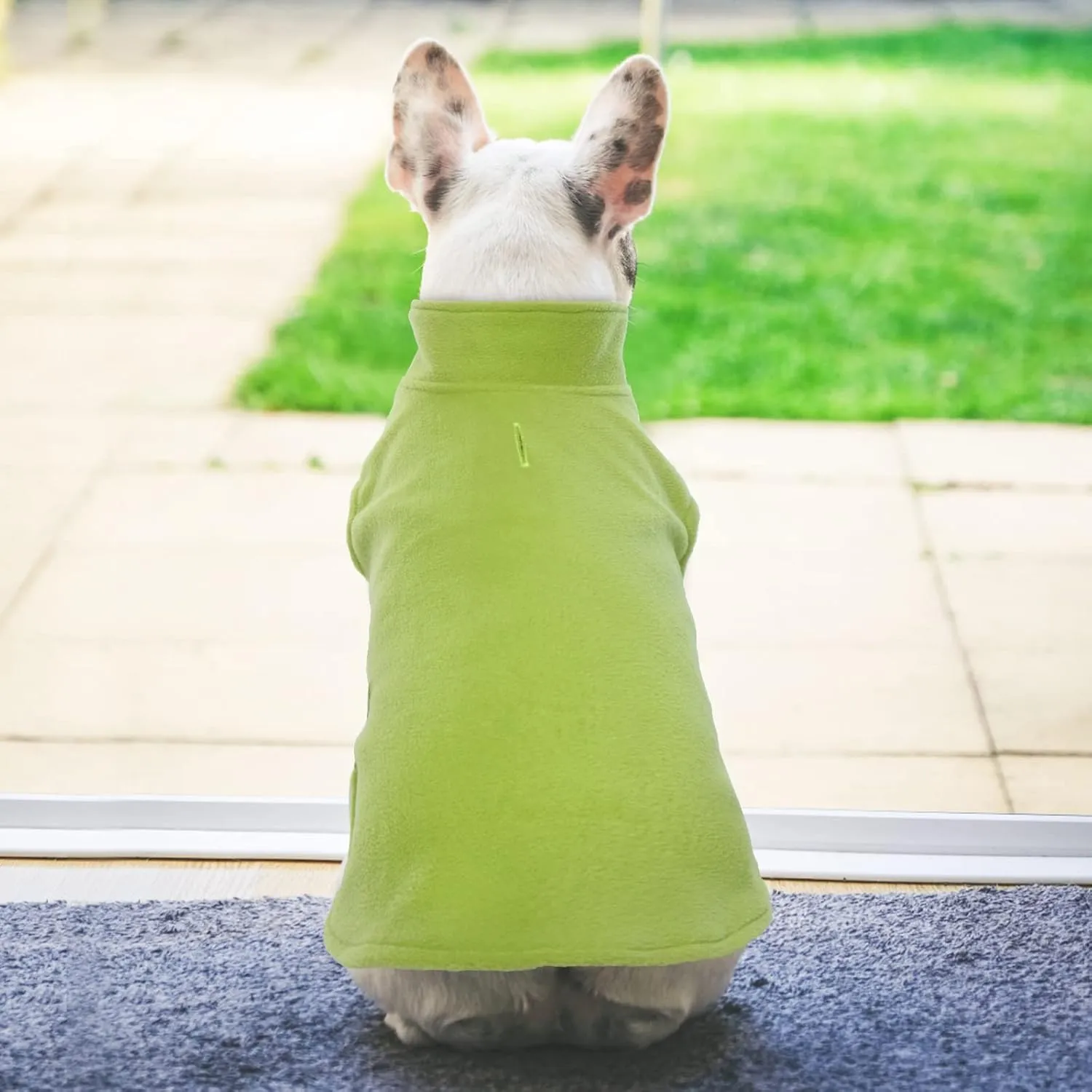 FUAMEY Fleece Vest, Warm Sweatshirt Puppy Stretchy Sweater Pullover Turtleneck Coat Winter Jacket With Leash Hole, Dachshund Sweaters Yorkie Clothes for Small Medium Large Dogs Green M