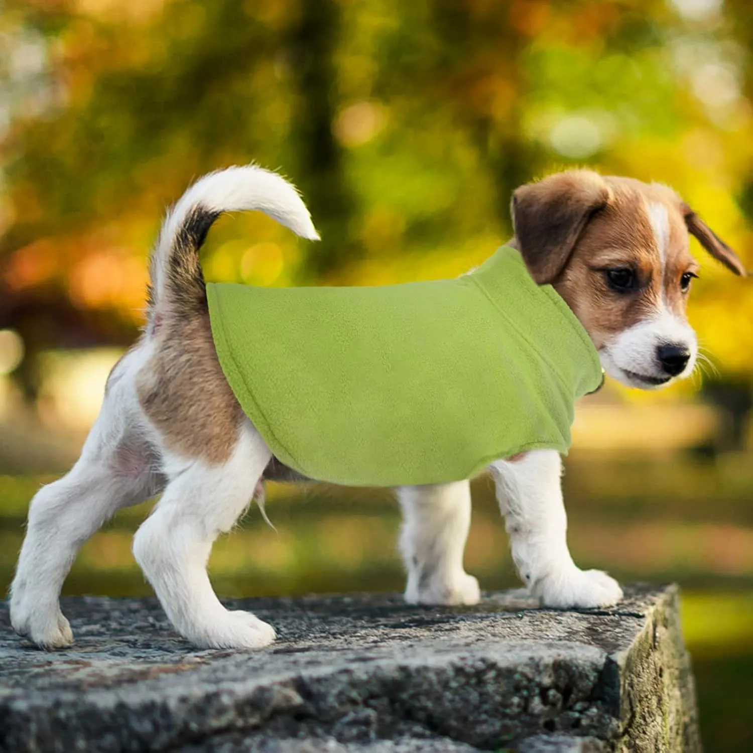 FUAMEY Fleece Vest, Warm Sweatshirt Puppy Stretchy Sweater Pullover Turtleneck Coat Winter Jacket With Leash Hole, Dachshund Sweaters Yorkie Clothes for Small Medium Large Dogs Green M