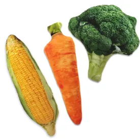 Fun With Vegetables Pet Dog Toys